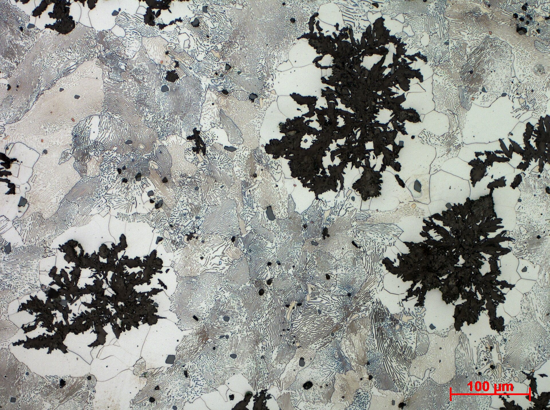 Ilustracja przedstawia mikrostrukturę żeliwa ciągliwego. Widoczne są ziarna z wyraźnymi granicami, oraz nieregularnymi czarnymi plamami, którym jest grafit.