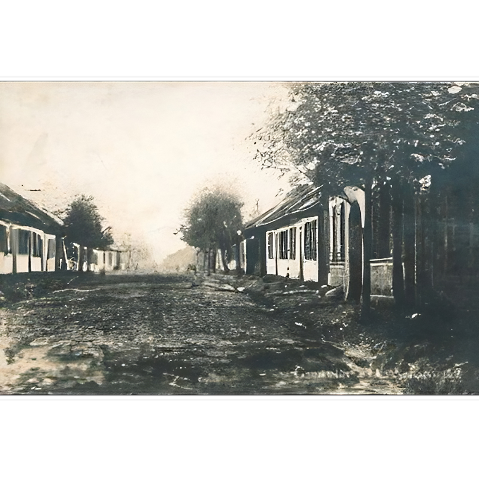 Kliknij, aby powiększyć Zdjęcie przedstawia wybrukowaną ulicę z rynsztokami i chodnikami dla pieszych, biegnącą przez jego środek. Przy chodnikach zasadzone są drzewa. Budynki przy ulicy są drewniane, parterowe, a znajdujący się po prawej stronie fotografii ma ganek. Okna w budynkach mają okiennice, a dachy są dwuspadowe.