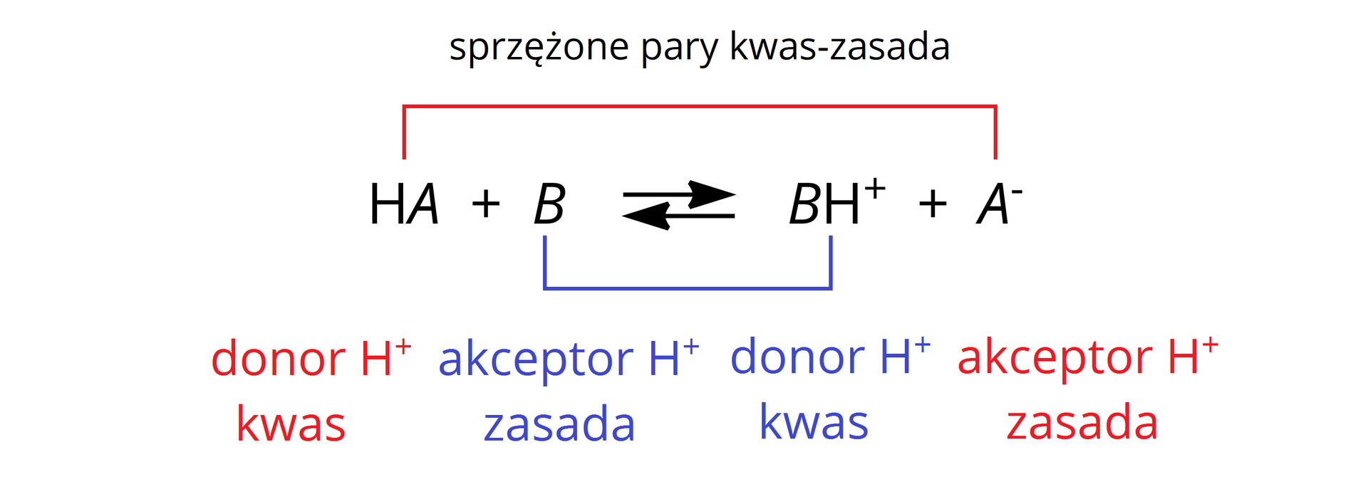 Ilustracja obrazująca reakcję pomiędzy donorem H+ a akceptorem H+. Równanie: HA dodać B, strzałka w prawo, strzałka w lewo, za strzałkami BH+ dodać A-. HA oraz A- stanowią sprzężoną parę kwas zasada, podobnie B i  BH+. HA jest kwasem, czyli donorem H+, zaś B pełni rolę akceptora H+. Z kolei po stronie produktów BH+ stanowi donor H+, a A- jest akceptorem H+. 