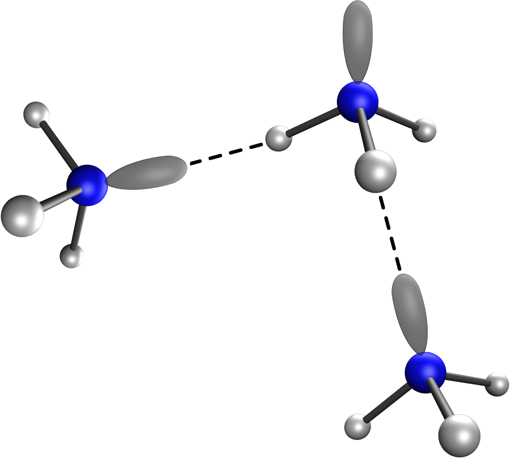 Na ilustracji są trzy identyczne modele cząsteczek. Niebieska kulka na dole łączy się z trzema szarymi kulkami. Niebieska kulka łączy się u góry z owalnym kształtem. Owal jednej cząsteczki łączy się z szarą kulką kolejnej cząsteczki linią przerywaną.