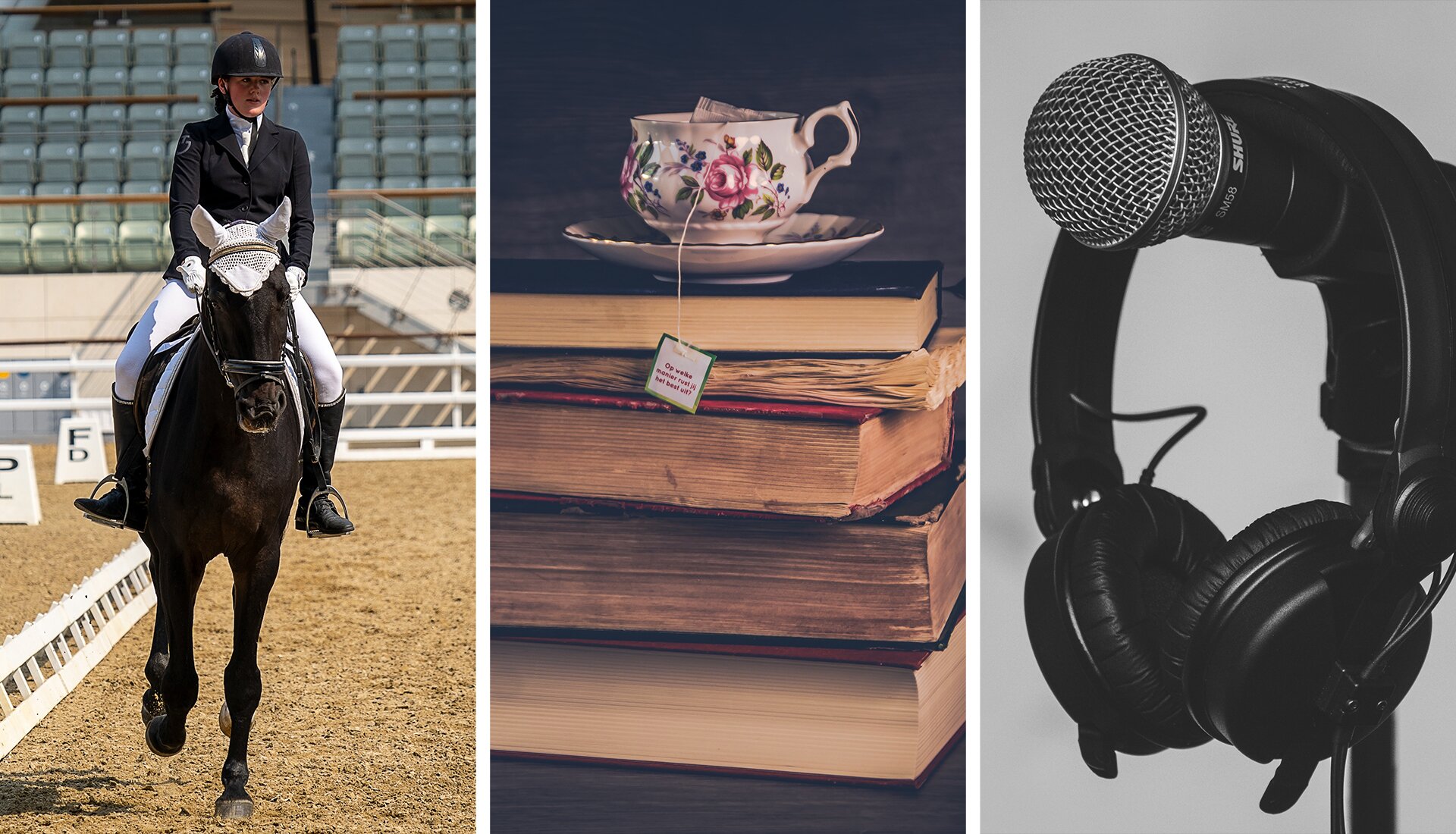 Ilustracja zawiera trzy zdjęcia. Na pierwszym od lewej widoczna kobieta w stroju jeździeckim siedząca na koniu. Drugie zdjęcie przedstawia stos książek, na których postawiono filiżankę z herbatą. Ostatnie zdjęcie przedstawia mikrofon i powieszone na nim słuchawki.