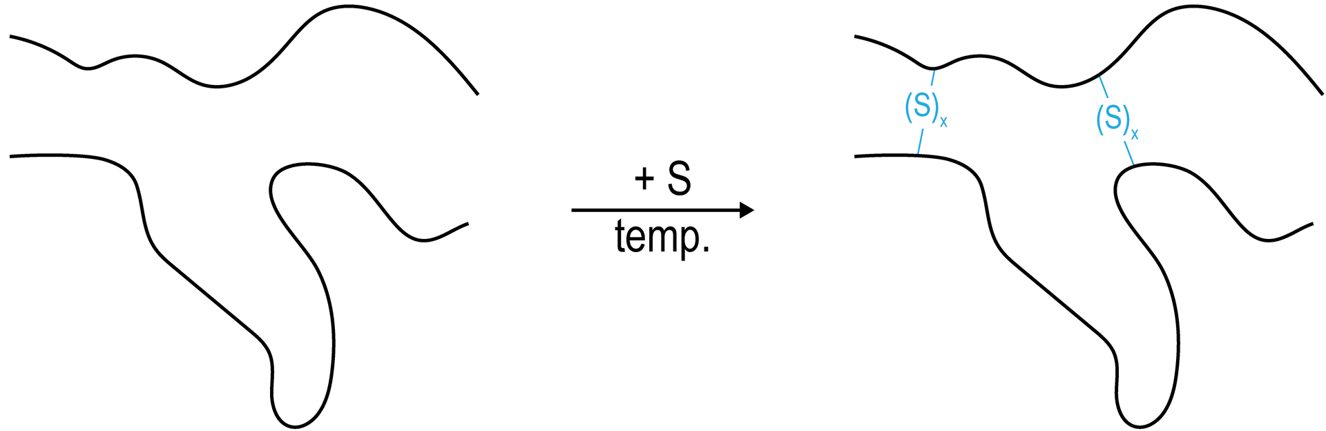 Ilustracja przedstawiająca dwie cienkie falujące linie jedna nad drugą, symbolizują one łańcuchy węglowodorowe. Pod pływem siarki i temperatury pomiędzy linami - łańcuchami powstają mostki disiarczkowe (S) indeks dolny iks koniec indeksu.  