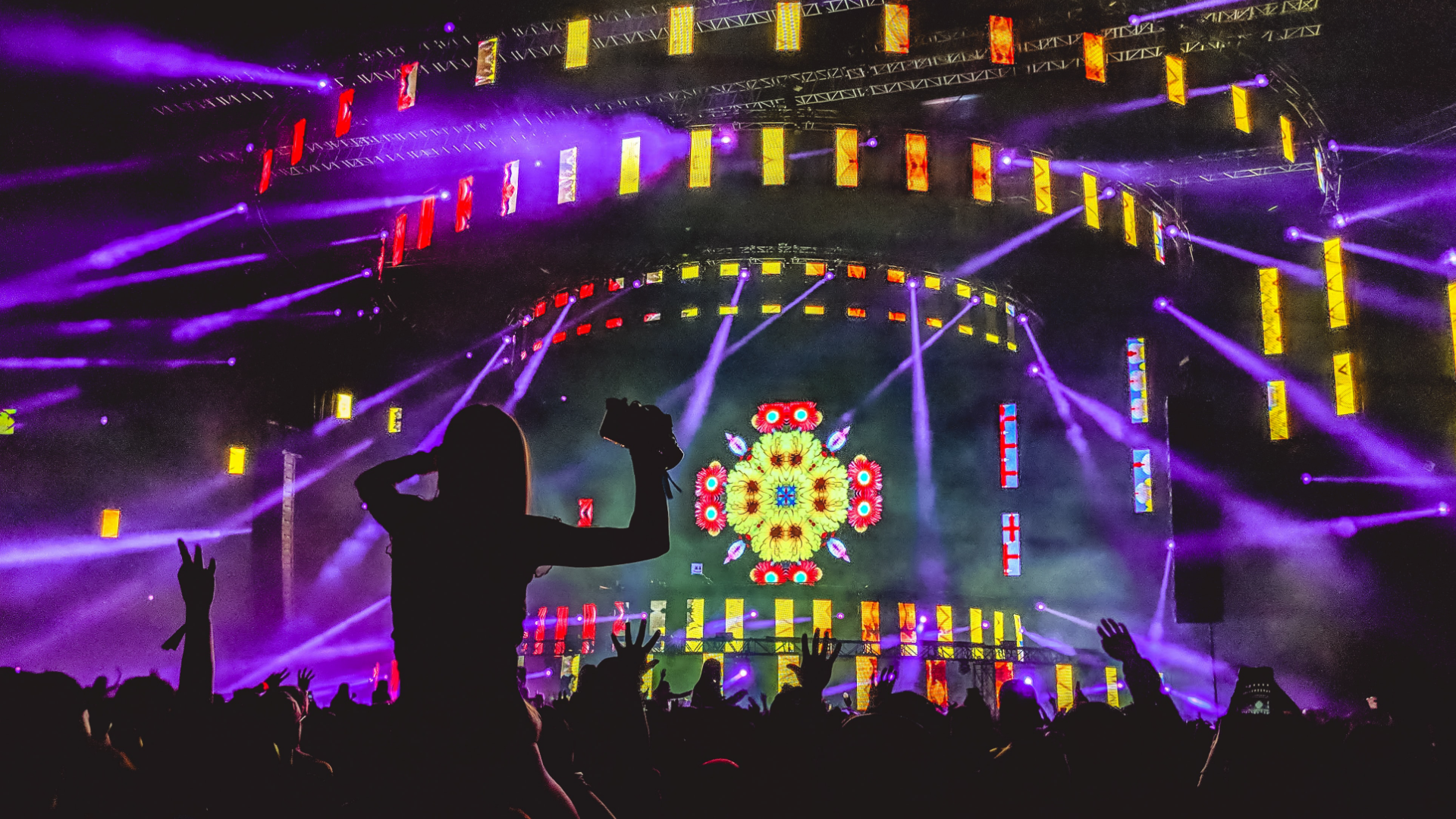 Zdjęcie przedstawia publiczność zgromadzoną przed sceną podczas koncertu. Ludzie stoją tyłem do kadru, jedna z kobiet znajduje się powyżej publiczności siedząc komuś na ramionach. W tle widoczna jest rozświetlona scena.