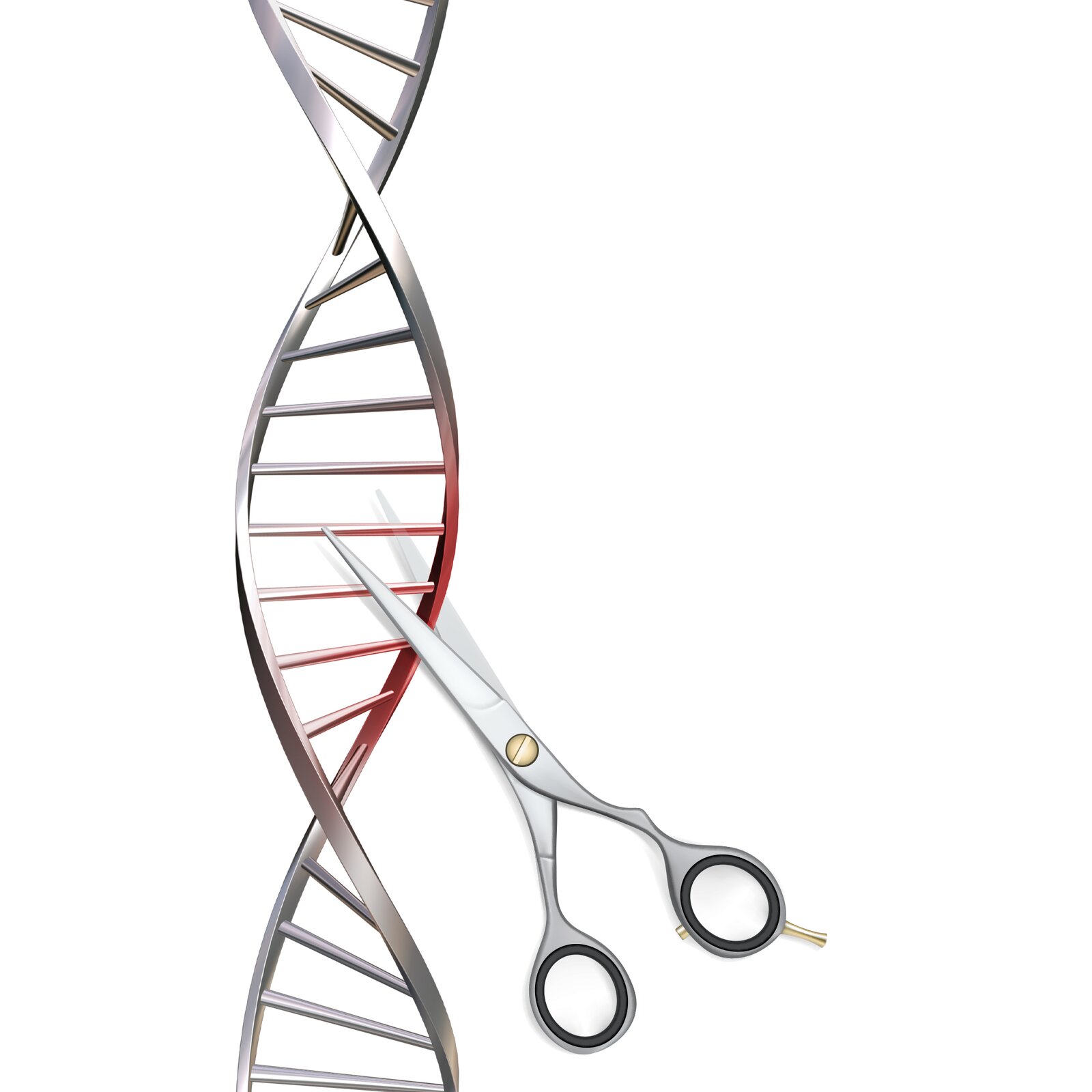 Ilustracja przedstawia spiralny obraz ludzkiego DNA. Obok widoczne nożyczki. 