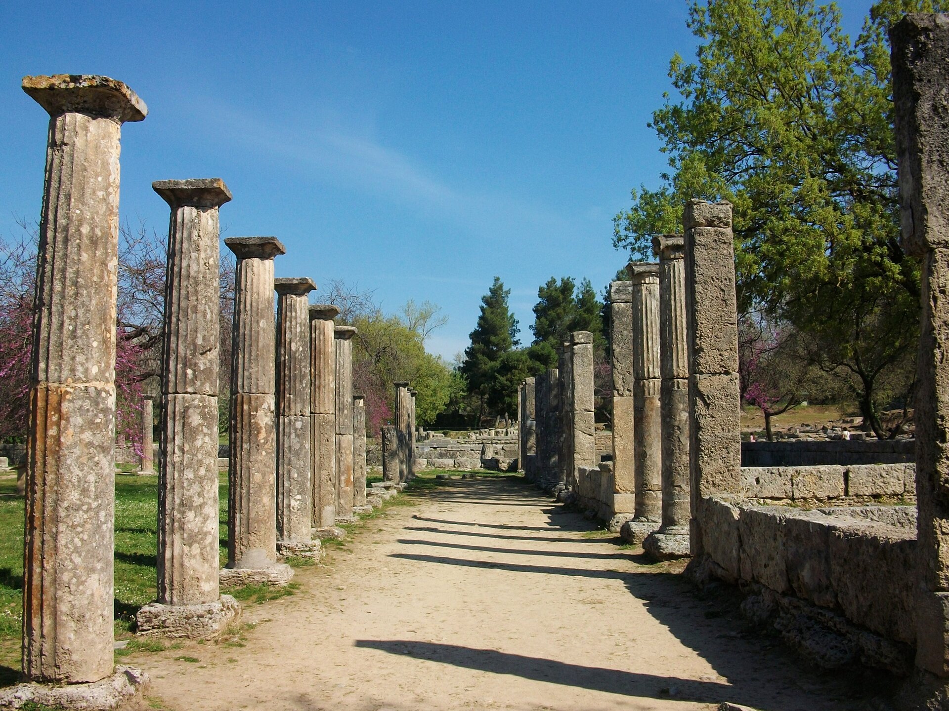 Zdjęcie przedstawia dwa szeregi kolumn regularnie ustawionych w odstępach, pomiędzy nimi ścieżka w centrum fotografii. Dookoła widoczne ruiny gimnazjonu i podstaw ścian. Po prawej stronie fotografii widoczny zagajnik drzew. Fotografia współczesna, zdjęcie wykonane za dnia. 