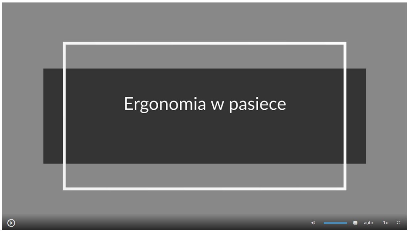 Grafika przedstawia przykładowy wygląd ekranu filmu. Znajduje się na nim plansza tytułowa. Jest to szare tło oraz ciemnoszary prostokąt z tytułem filmu: Ergonomia w pasiece. W lewym dolnym rogu ekranu filmu umieszczony jest przycisk służący do odtwarzania i zatrzymywania filmu. W prawym dolnym rogu ekranu umieszczono szereg różnych przycisków. Odpowiedzialne są one za uruchamianie napisów, zmianę głośności, zmianę jakości wyświetlanego materiału, zmianę szybkości odtwarzania oraz włączenie lub wyłączenie trybu pełnoekranowego.