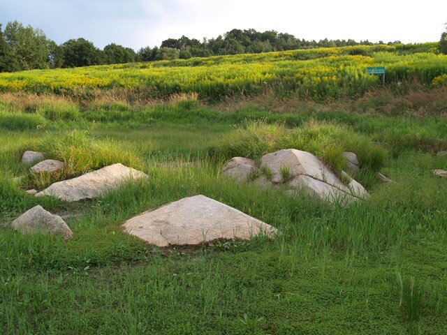 Zdjęcie przedstawia fragment zbocza porośniętego trawą. Na pierwszym planie w trawie jest kilka jasnych kawałków skał o wygładzonych ścianach, ale ostrych krawędziach. W tle rosną drzewa. 