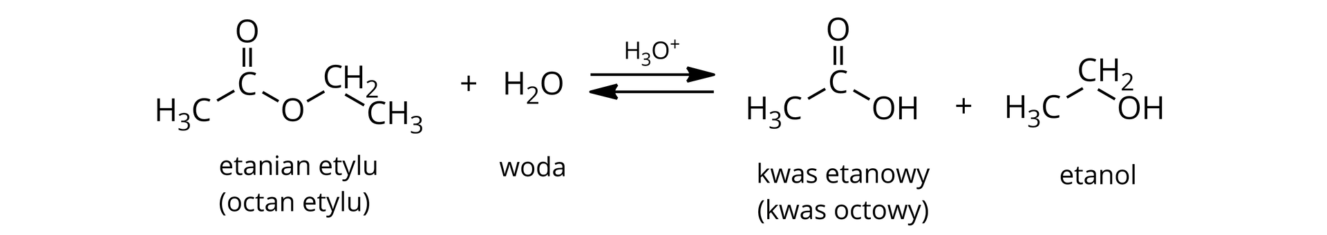 Ilustracja przedstawiająca równanie reakcji. Cząsteczka etanianu etylu (octanu etylu) dodać jedna cząsteczka wody, strzałki w dwie strony, nad strzałkami jon hydroniowy. Za strzałkami cząsteczka kwasu etanowego ( to jest kwasu octowego) dodać cząsteczka etanolu. 