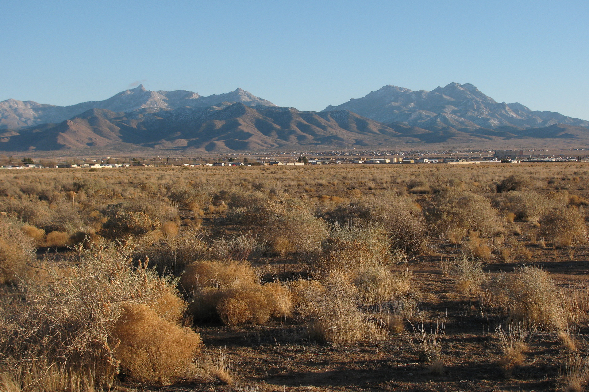 Fotografia przedstawia półpustynię w Arizonie. Na pierwszym planie kępy suchych, pożółkłych roślin. W tle łańcuch górski. W oddali bielejący pas zabudowy.