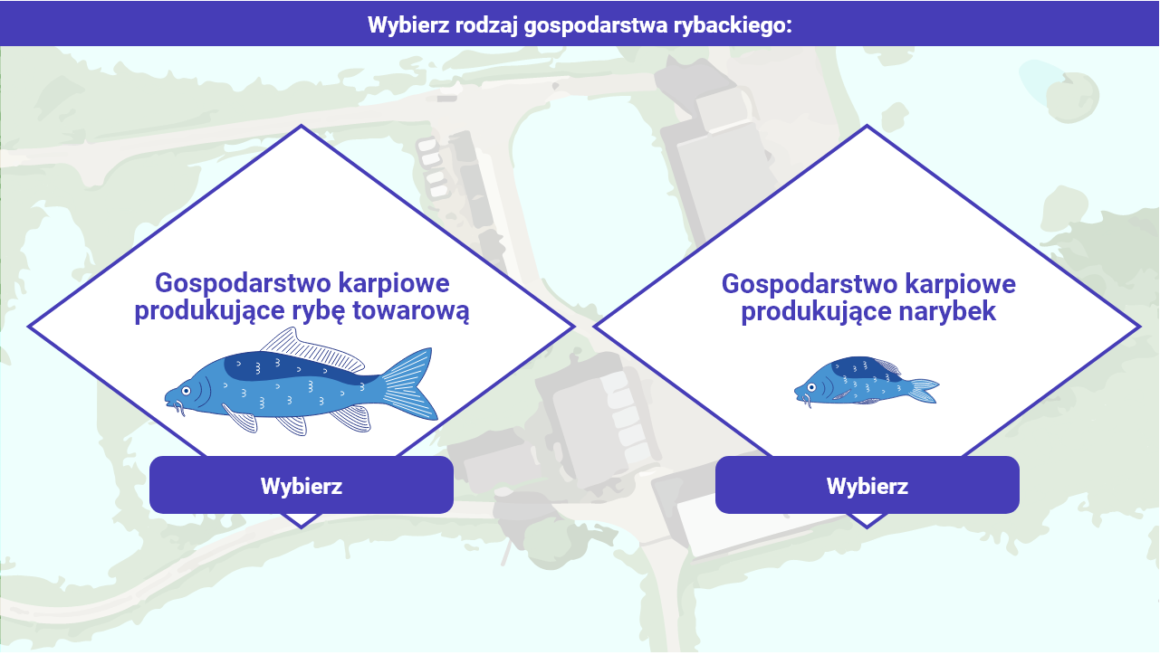 Grafika przedstawia ekran wyboru gospodarstwa w grze edukacyjnej. U góry znajduje się pasek z tekstem: wybierz rodzaj gospodarstwa rybackiego. Poniżej widoczne są dwie opcje. Pierwsza z nich to gospodarstwo karpiowe produkujące rybę towarową. Grafika towarzysząca tej opcji przedstawia dorosłego karpia. Druga opcja to gospodarstwo karpiowe produkujące narybek. Grafika towarzysząca tej opcji przedstawia młodego, małego karpia. Pod obiema opcjami znajdują się przyciski „wybierz”, które pozwalają na wybranie danego gospodarstwa.
