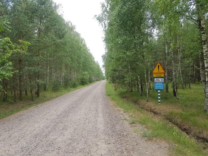 Zdjęcie przedstawia drogę pożarową w lesie. Widoczna jest szutrowa ścieżka pomiędzy drzewami. Są to drzewa liściaste, widoczne są m.in. brzozy. Po prawej stronie przy drodze widoczny jest znak drogowy: od góry żółty trójkąt z czerwoną obwódką i czarnym wykrzyknikiem, pod spodem żółty prostokąt z napisem, pod nim biały prostokąt z napisem, pod nim niebieski prostokąt z napisem. Znak stoi na biało zielonej konstrukcji.
