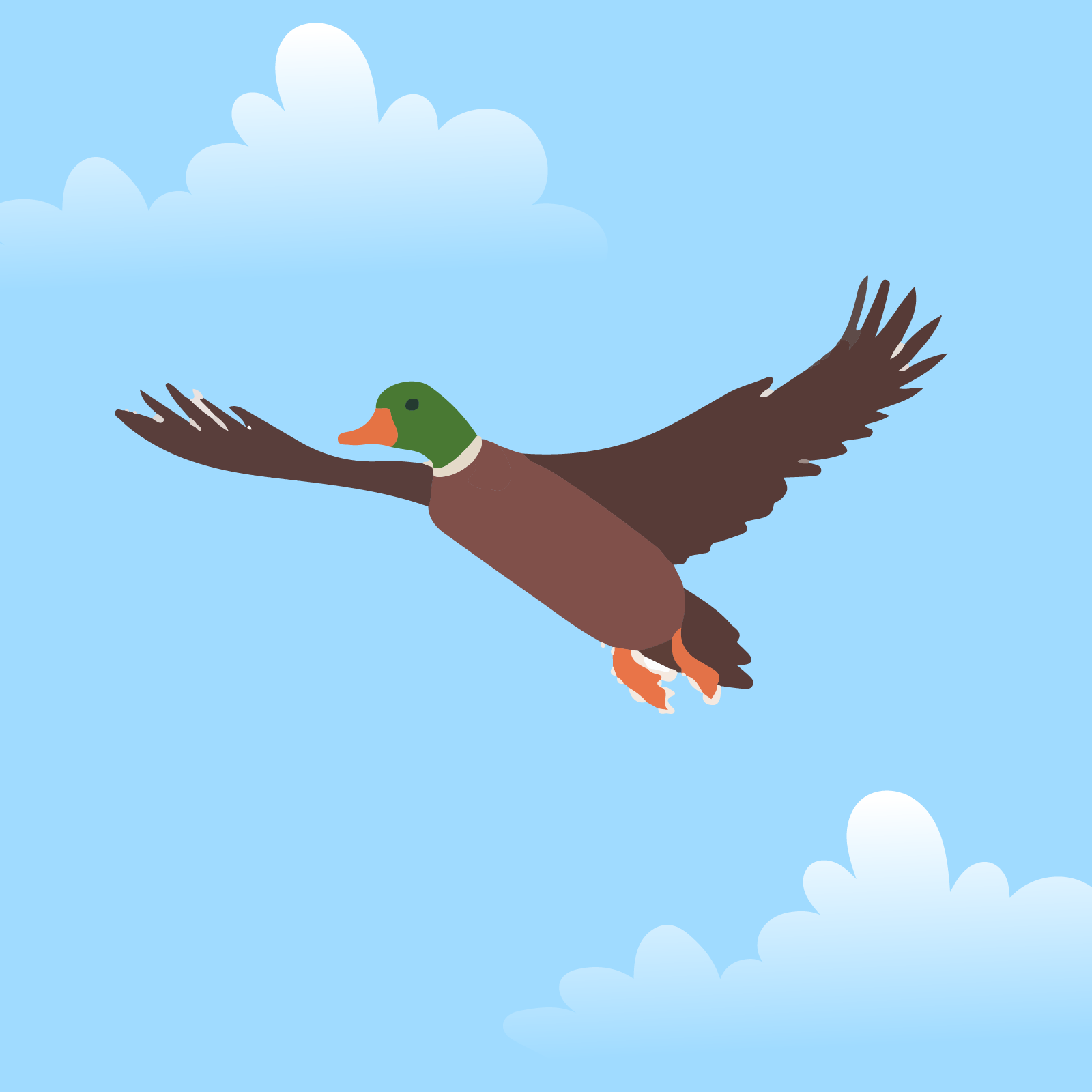 Ilustracja przedstawia kaczkę w locie. 