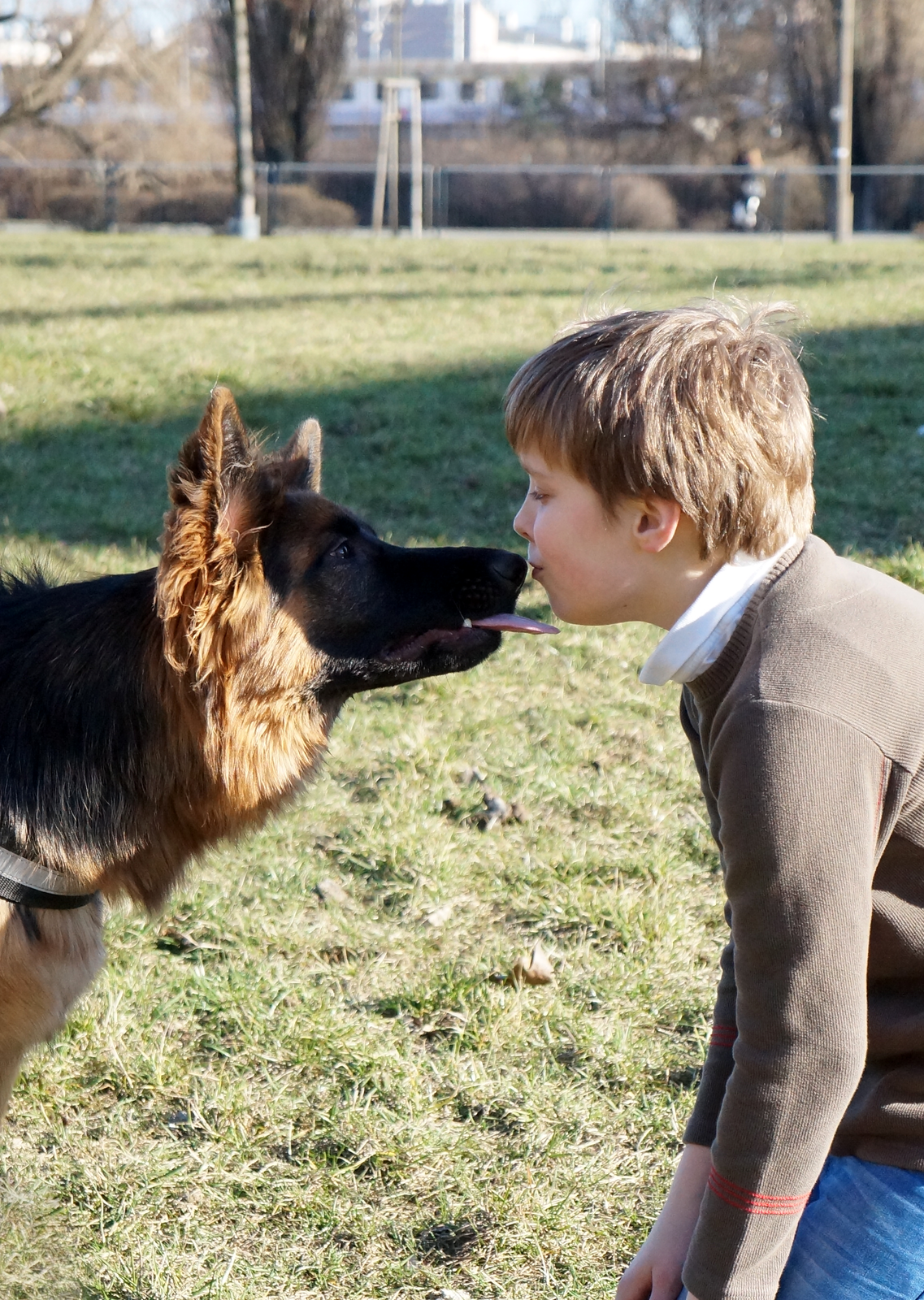 Fotografia przedstawia psa owczarka niemieckiego i dziecko w beżowym sweterku na łące. Pies ma wysunięty do twarzy dziecka język. Chłopiec całuje psa w nos.