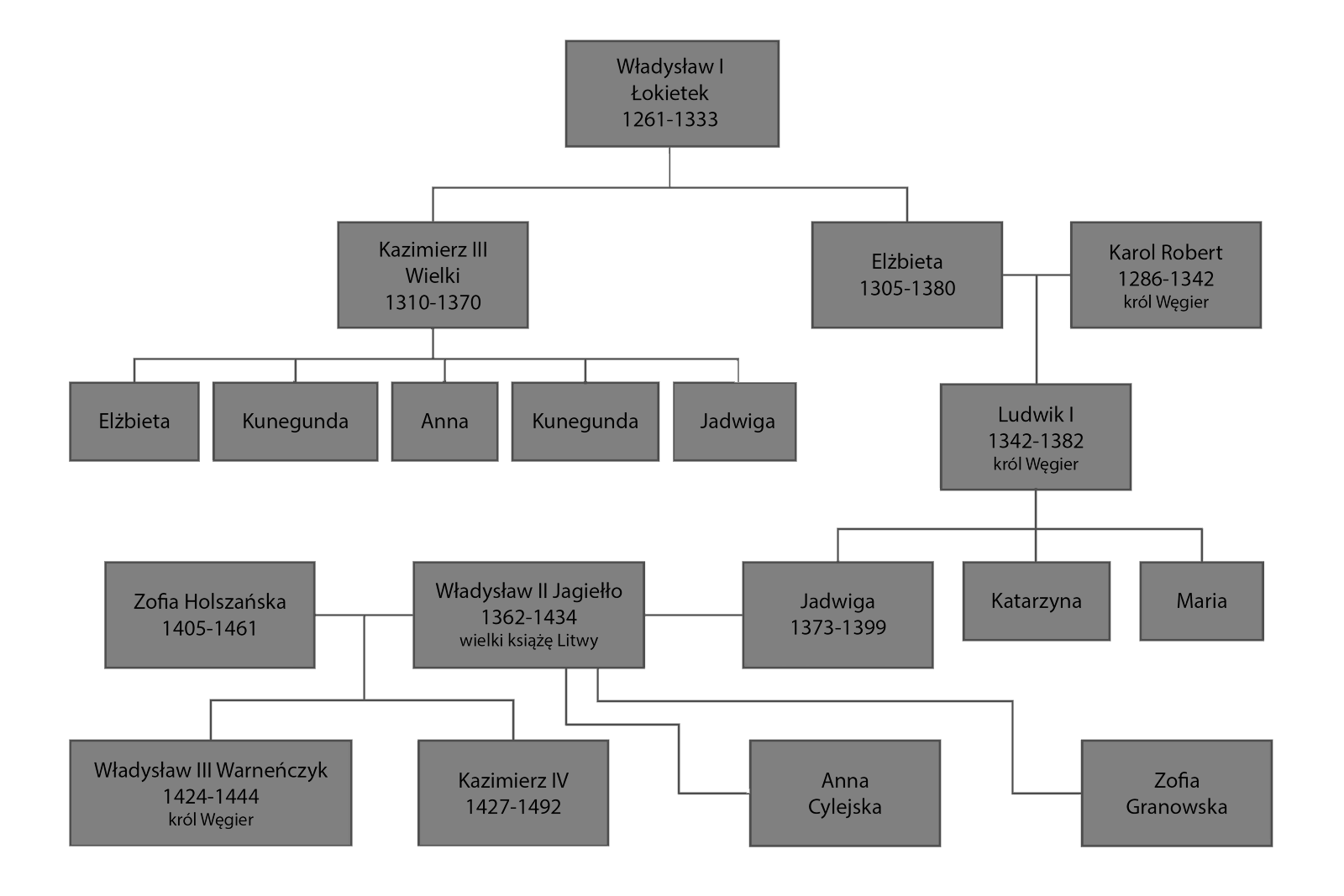 Grafika przedstawia drzewo genealogiczne Władysława Pierwszego Łokietka (1261‑1333). Był on ojcem Kazimierza Trzeciego Wielkiego (1310‑1370), ojca Elżbiety, Kunegundy, Anny, Kunegundy i Jadwigi oraz Elżbiety (1305‑1380), która została mężem Karola Roberta (1286‑1342), króla Węgier. Z małżeństwa Elżbiety i Karola Roberta urodził się Ludwik Pierwszy (1342‑1282), król Węgier. Ludwik pierwszy był ojcem trojga dzieci: Katarzyny, Marii i Jadwigi (1374‑1399). Jadwiga została pierwszą żoną Władysława Drugiego Jagiełły (1362‑1434), wielkiego księcia Litwy. Drugą żoną była Anna Cylejska, trzecią Zofia Granowska. Czwartą żoną Władysława Drugiego Jagiełły była Zofia Holszańska (1405‑1461), z którą król miał dwoje dzieci: Władysława Trzeciego Warneńczyka (1424‑1444), króla Węgier i Kazimierza Czwartego (1427‑1492).