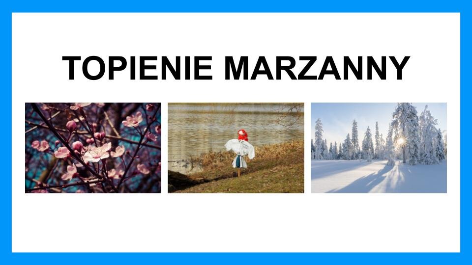 Slajd przedstawia czarny napis oraz trzy zdjęcia umieszczone na białym tle z niebieską ramką na brzegach. Na slajdzie znajduje się napis: "Topienie Marzanny", a poniżej umieszczone zostały trzy zdjęcia. Z lewej strony znajduje się zdjęcie brązowych gałązek z różowymi pąkami oraz rozwiniętymi kwiatami. W tle widoczne jest błękitne niebo. W centralnej części slajdu umieszczone zostało drugie zdjęcie, które przedstawia drewniany palik, na który została założona biała koszula, a na szczycie umieszczona biała kula, na której zawiązano czerwoną chustę. Marzanna wbita jest w ziemię, która jest lekko zazieleniona trawą. Ziemia graniczy z wodą, która jest lekko pofalowana. Z prawej strony slajdu znajduje się trzecie zdjęcie, które przedstawia wysokie choinki obsypane śniegiem. Na ziemi leży śnieg. Spomiędzy drzew prześwitują promienie słoneczne. Niebo jest jasnoniebieskie.