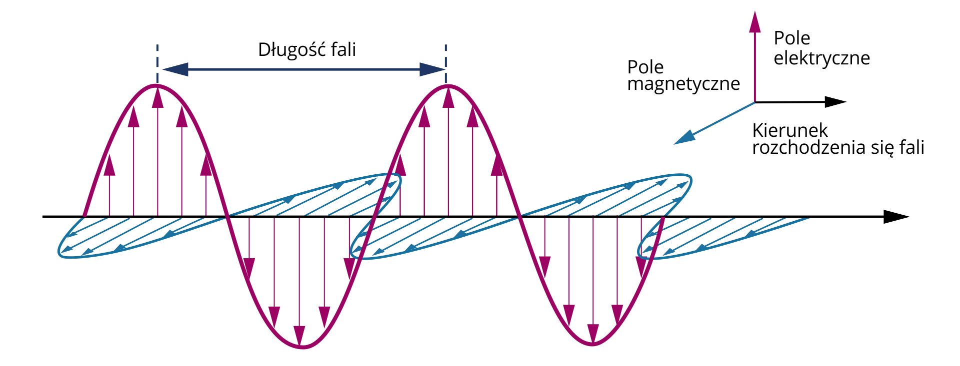 Na środku ilustracji, przez całą jej długość zaznaczony poziomo w prawo kierunek rozchodzenia się fali. W płaszczyźnie pionowej składowa fali od pola elektrycznego. W płaszczyźnie prostopadłej składowo fali od pola magnetycznego.