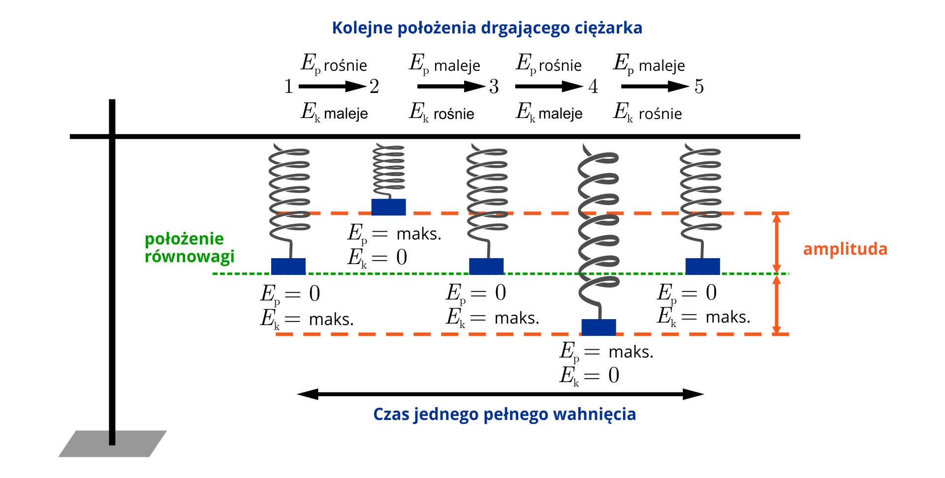 Na ilustracji widoczna jest sekwencja położeń ciężarka zawieszonego na sprężynie, podczas drgania. Położenie początkowe zaznaczone zostało zieloną, przerywaną, poziomą linią. Równolegle, w takiej samej odległości pod oraz nad tą linią znajdują się po jednej pomarańczowej, przerywanej linii - jest to zaznaczona amplituda drgań, a więc miejsca maksymalnych wychyleń ciężarka. W pierwszym położeniu, położeniu równowagi, energia potencjalna układu jest zerowa, a energia kinetyczna maksymalna. Następnie ciężarek przemieszcza się do góry: energia potencjalna rośnie, energia kinetyczna maleje. W drugim położeniu, maksymalnego wychylenia do góry, energia potencjalna układu jest maksymalna, energia kinetyczna zerowa. Następnie ciężarek przemieszcza się w dół: energia potencjalna maleje, energia kinetyczna rośnie. Trzecie położenie to położenie równowagi, a więc znów energia potencjalna układu jest zerowa, a energia kinetyczna maksymalna. Ciężarek dalej przemieszcza się w dół: energia potencjalna rośnie, energia kinetyczna maleje. W czwartym położeniu, maksymalnego wychylenia w dół, energia potencjalna jest maksymalna, energia kinetyczna jest zerowa. Następnie ciężarek  przemieszcza się do góry: energia potencjalna maleje, energia kinetyczna rośnie, aż do ponownego osiągnięcia położenia równowagowego. Cała sekwencja to jedno, pełne wahnięcie wahadła. Pod rysunkami znajduje się pozioma strzałka z grotami z obu stron, pociągnięta od pierwszej sekwencji, do ostatniej, i podpisana: czas jednego pełnego wahnięcia.
