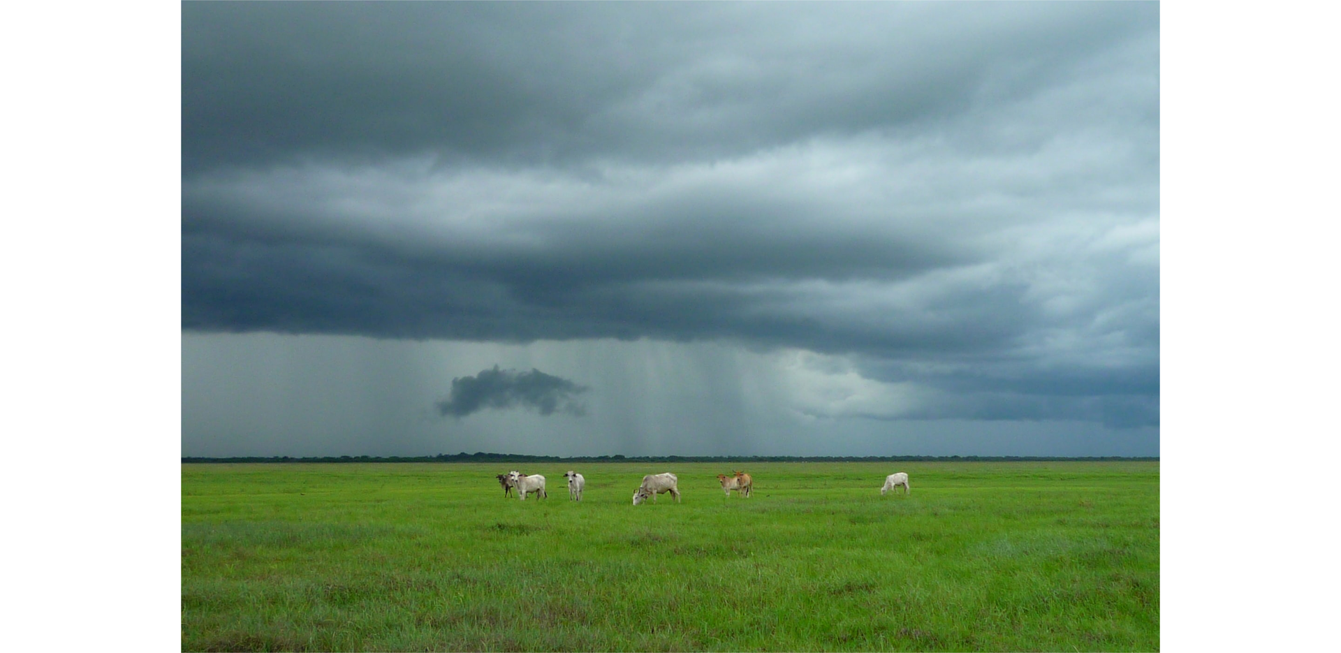 Zdjęcie przedstawia trawiastą nizinę.