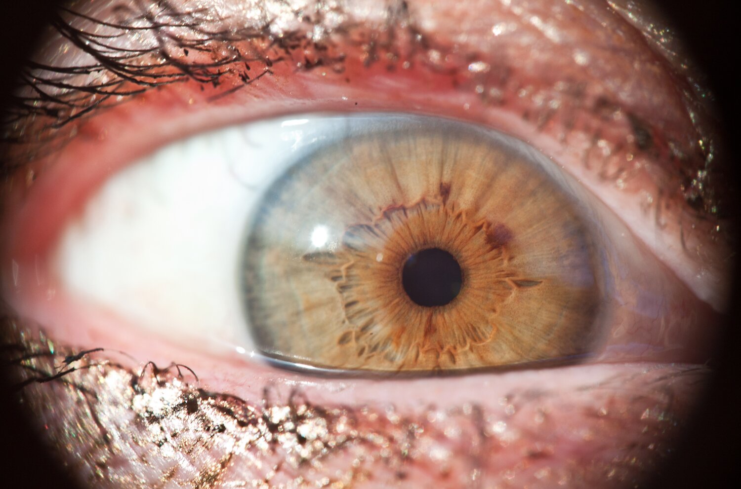 Zdjęcie przedstawia zbliżenie otwartego oka - szara tęczówka, okolonego rzęsami.