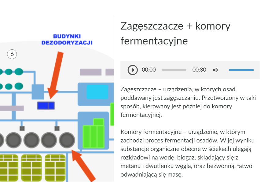 Przykładowy wygląd rozwiniętej planszy