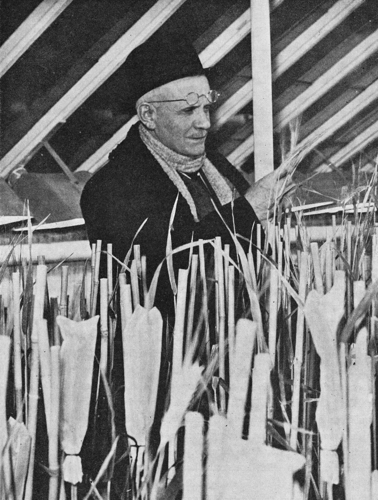 Zdjęcie przedstawia szczupłego, starszego mężczyznę w płaszczu i kapeluszu na głowie. Mężczyzna ma zsunięte na czoło druciane okulary. Trzyma w dłoniach trzcinę. Przed nim, na stołach znajdują się liczne sadzonki tej rośliny.