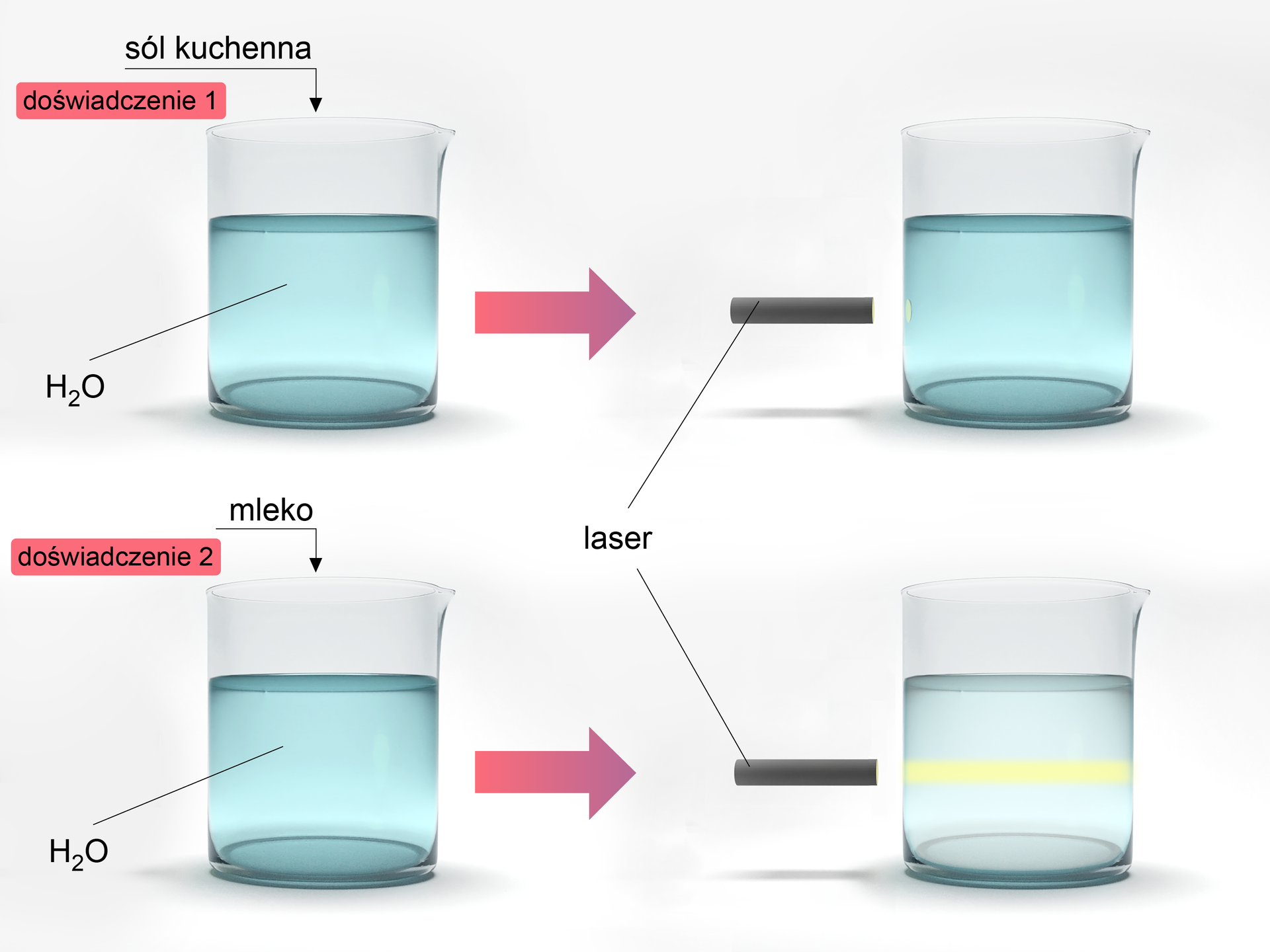 Na ilustracji przedstawiono dwa doświadczenia. Doświadczenie 1. Do zlewki z wodą dodano sól kuchenną. Światło lasera nie rozprasza się w zlewce. Doświadczenie 2. Do zlewki z wodą dodano mleko. Światło lasera przechodzi przez zlewkę w postaci poziomej smugi.  