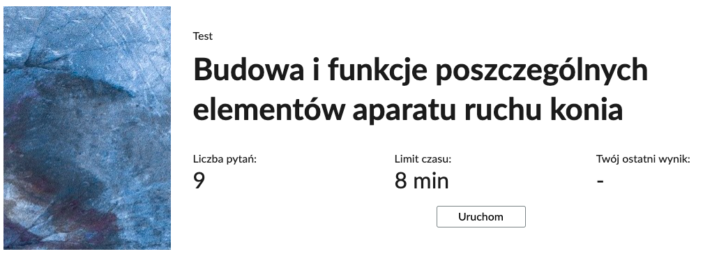 Grafika przedstawia przykładowy wygląd panelu testu. Składa się on z tytułu testu, informacji o liczbie pytań, czasie, w którym należy rozwiązać test, oraz o ostatnim uzyskanym wyniku. Poniżej widać przycisk Uruchom.