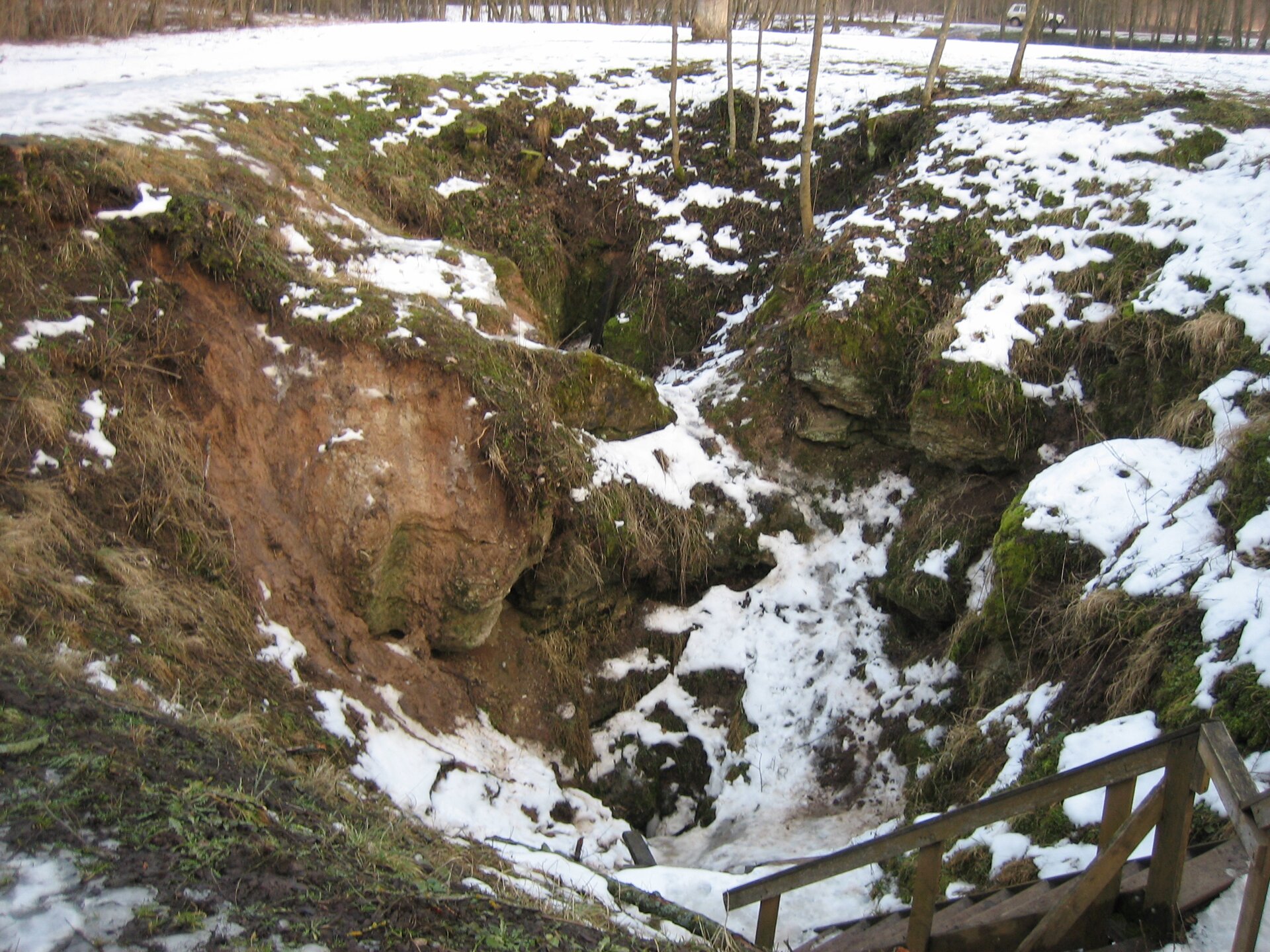 Zdjęcie przedstawiające zapadnięty obszar, miejscami jest porośnięty trawą i pokryty śniegiem. Lej ma pochyłe ściany. W tle znajdują się liczne drzewa. 