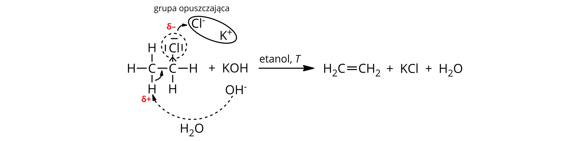 Ilustracja przedstawia reakcję chloroetanu z wodnym roztworem wodorotlenku potasu. Cząsteczka chloroetanu: do atomu węgla przyłączone są: grupa CH3, dwa atomy wodoru i atom chloru. Przy jednym z atomów wodoru z grupy CH3 umieszczono symbol δ+, a przy atomie chloru δ-. Po prawej stronie znajduje się zapis: + KOH, nad KOH zapisano K+, a pod OH-. Od anionu OH- poprowadzono strzałkę do atomu wodoru z symbolem delta plus, pod tą strzałką umieszczono cząsteczkę wody. Atom chloru oznaczono jako grupę odchodzącą i poprowadzoną od niego strzałką do Cl-, który tworzy z kationem potasu sól KCl. Po prawej stronie umieszczono strzałkę reakcyjną nad nią zapisano etanol i temperaturę. Produktami reakcji są: eten (grupa CH2 wiązanie podwójne, grupa CH2) KCl oraz woda.