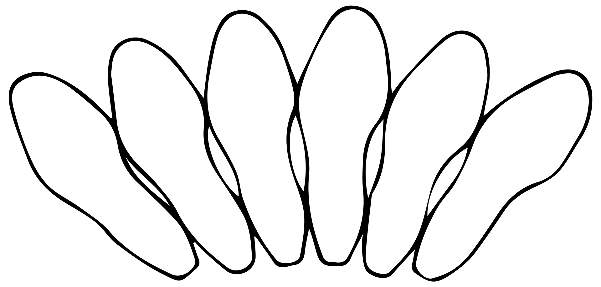 Na rysunku pokazany jest wachlarzowy system układalności podeszew. Sześć podeszew lewych ułożonych jest jedna obok drugiej i ich brzegi stykają się w kształcie wachlarza. Ponieważ pięta jest węższa, a część śródstopia szersza, tworzy się półokrągły wachlarz.