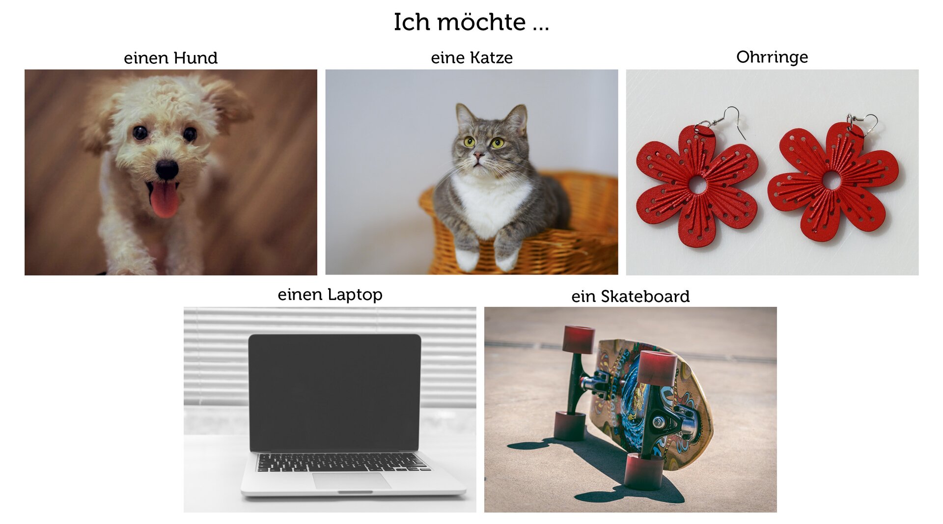 Ilustracja przedstawia psa, kota kolczyki, laptop oraz deskorolkę.