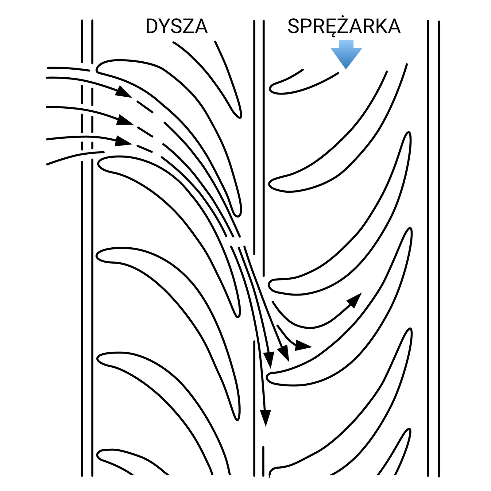 Ilustracja przedstawia turbinę reakcyjną czyli rozprężanie na łopatkach obydwu wieńców turbiny. W pionie pokazane są dwa rzędy łopatek, widziane z góry. Lewy podpisany jest jako dysza, łopatki na niej są ustawione w ten sposób, aby powietrze biegnące między nimi z lewej strony zmieniało kierunek lotu z poziomego na pionowy wlatując do prawego rzędu, który podpisany jest jako sprężarka. Łopatki dyszy ustawione są pod kątem, wypukłą stroną łuku w górę i w prawo. Strzałki pokazujące przepływ powietrza zbliżają się do siebie między łopatkami dyszy. Powietrze wpada do sprężarki, gdzie popycha jej łopatki, ustawione tak, aby łapać wpadające powietrze. Łopatki sprężarki również są ustawione tutaj pod kątem do kierunku obrotu, wypukłą stroną w dół i w prawo. Pod podpisem sprężarki znajduje się strzałka ukazująca kierunek jej obrotu w dół.