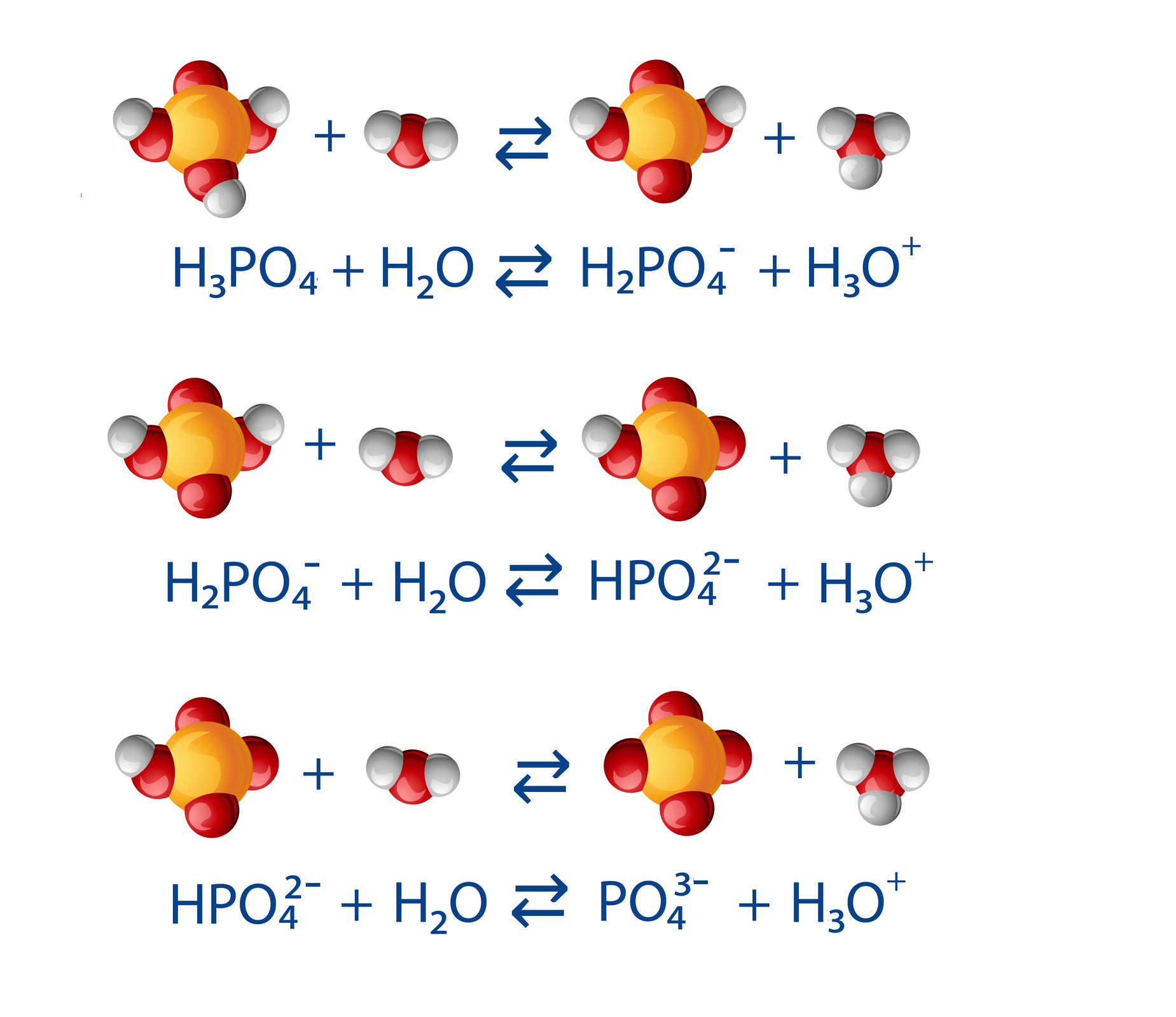 Schemat procesu stopniowej dysocjacji elektrolitycznej kwasu fosforowego (pięć). Pierwsze równanie: ha trzy pe o cztery dodać ha dwa o, strzałki w obie strony ha dwa pe o cztery minus dodać ha trzy o plus Drugie równanie: ha dwa pe o cztery minus dodać ha dwa o, strzałki w obie strony ha pe o cztery dwa minus dodać ha trzy o plus Trzecie równanie ha pe o cztery dwa minus dodać ha dwa o, strzałki w obie strony pe o cztery trzy minus dodać ha trzy o plus.