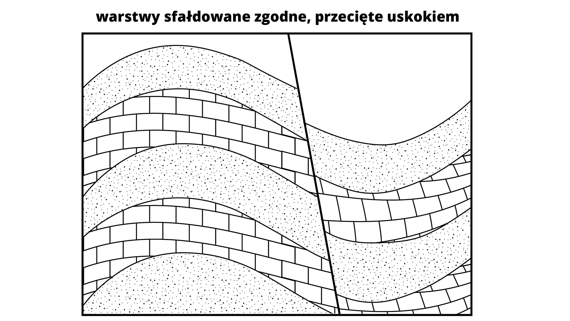 Schemat przedstawia warstwy sfałdowane zgodne, przecięte uskokiem. Warstwy są ułożone względem siebie w postaci poziomych fałdów. Przez środek warstw przechodzi skośna linia. Powoduje ona, że warstwy leżące po jej prawej stronie są obniżone względem warstw leżących po jej lewej stronie. Warstwy z drobnymi kropkami, przeplatają się z warstwą zbudowaną z prostokątów. Układ przypomina mur z cegieł. 