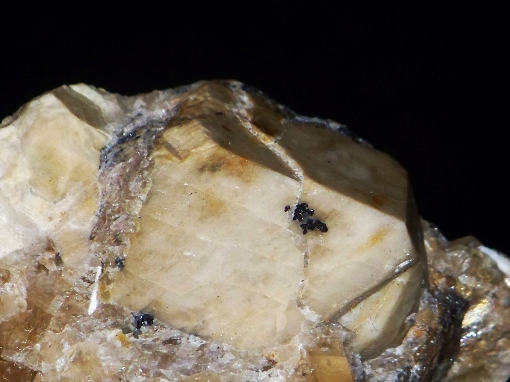 Zdjęcie ukazuje minerał o zwartej strukturze, dominuje w nim kolor biały. 