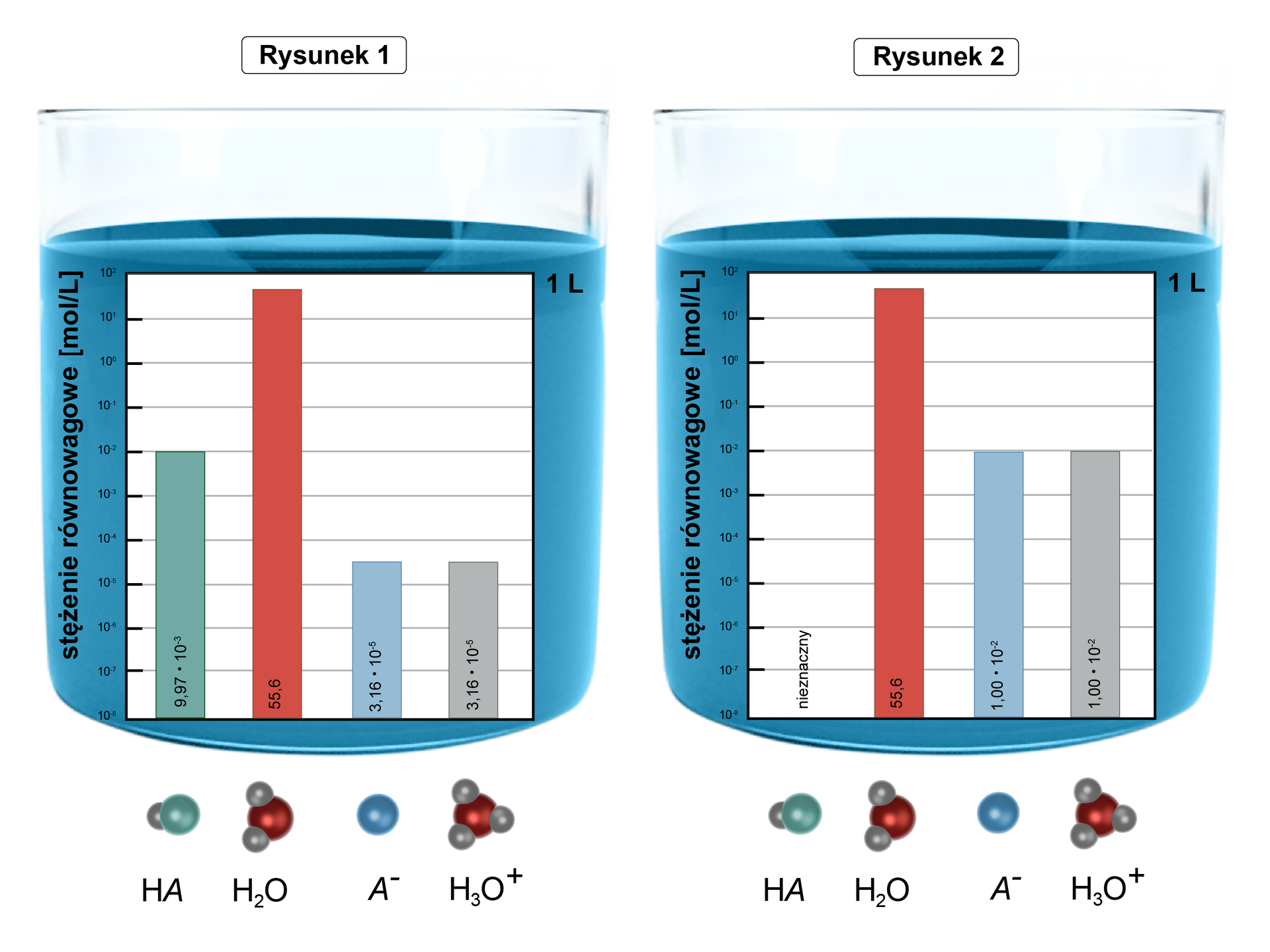 Ilustracja przedstawiająca dwa szklane naczynia z roztworem i wykresami stężenia równowagowego wyrażonego w molach na litr odpowiednich indywiduów. Rysunek pierwszy. W pierwszym naczyniu dla kwasu HA stężenie wynosi 9,97·10-3, dla H2O równe 55,6. Dla A- stężenie wynosi 3,16·10-5 oraz dla H3O+ 3,16·10-5. Rysunek drugi. W drugim naczyniu dla kwasu HA stężenie równowagowe jest nieznane, dla H2O równe 55,6. Dla A- stężenie wynosi 1,00·10-2 oraz dla H3O+ 1,00·10-2.