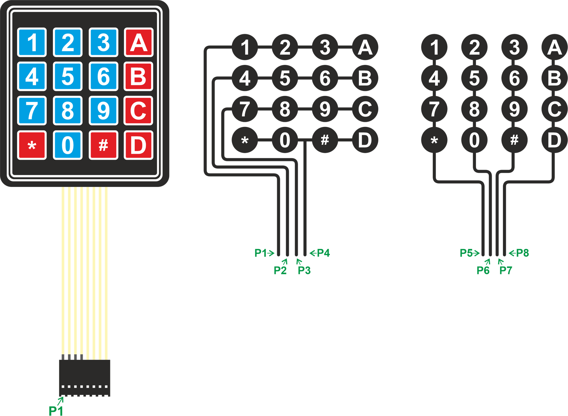 Ilustracja przedstawia panel klawiatury 4 rzędy na 4 kolumny. Każda kolumna jak i rząd podłączone są do osobnych kabli. Rzędy podłączone są do kabli oznaczonych P1, P2, P3 i P4. Kolumny oznaczone są poprzez P5, P6, P7 oraz P8. Oprócz cyfr od 0 do 9 dodatkowo widoczne są litery a, b, c, d po prawej stronie panelu jak i symbole * i #.