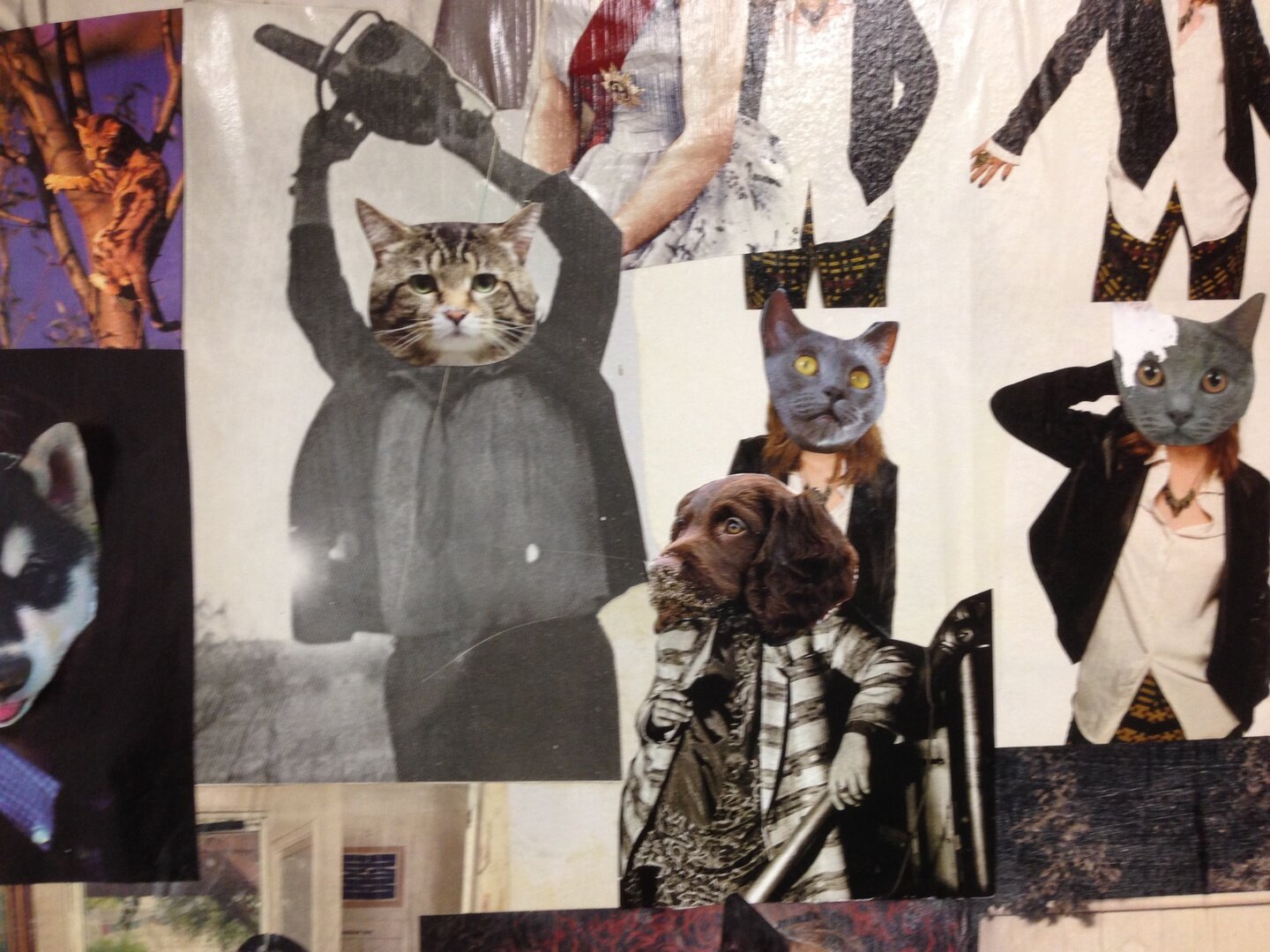 Ilustracja przedstawia kolaż złożony z ludzkich postaci, które zamiast głów mają łby kotów oraz psa. Jedna z postaci trzyma nad głową piłę łańcuchową.