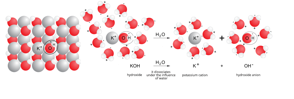 Grafika przedstawia proces dysocjacji elektrolitycznej wodorotlenku potasu. Wodorotlenek, hydroxide dysocjuje pod wpływem działania wody, it dissociates under the influence of water i daje w wyniku reakcji kation potasu, potassium cation oraz anion wodorotlenkowy, hydroxide anion. Równanie: ka o ha strzałka w prawo, nad strzałką zapisano ha dwa o, dalej ka plus dodać o ha minus.