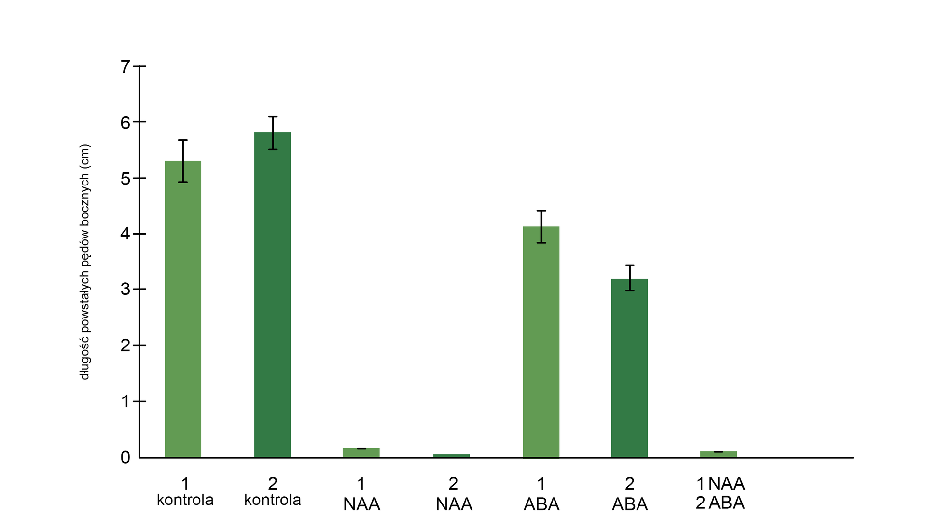 Na osi Y przedstawiono długość powstałych pędu w bocznych w centymetrach. Skala wynosi od 0 do 7, podziałka co 1 centymetr. Na osi Y zamieszczono następujące dane: Kontrola 1. Długość powstałych pędów bocznych wynosi 5,3 centymetrów. Wartość błędu standardowego wynosi 2 centymetry. Kontrola 2. Długość powstałych pędów bocznych wynosi 5,8 centymetrów.Wartość błędu standardowego wynosi 1 centymetr. NAA 1. Długość powstałych pędów bocznych wynosi 0,2 centymetra. NAA 2. Długość powstałych pędów bocznych wynosi 0,1 centymetra. ABA 1. Długość powstałych pędów bocznych wynosi 4,2 centymetrów. Wartość błędu standardowego wynosi 1 centymetr. ABA 2. Długość powstałych pędów bocznych wynosi 3,2 centymetry. Wartość błędu standardowego wynosi 1 centymetr. NAA 1 i ABA 2. Długość powstałych pędów bocznych wynosi 0,1 centymetra.