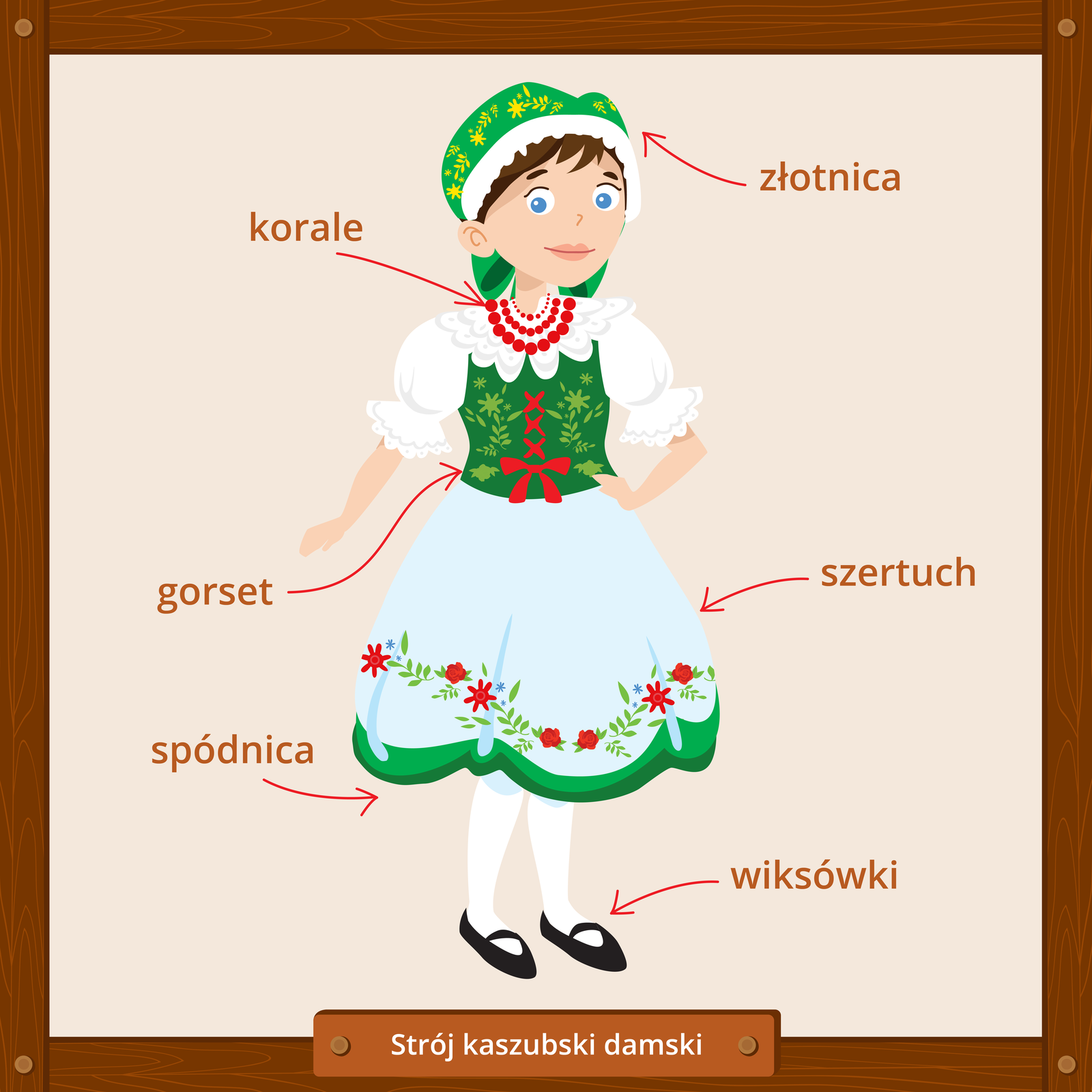 Ilustracja przedstawia tradycyjny strój kaszubski damski. Widać brązowowłosą kobietę ubraną w białą koszulę z krótkimi bufiastymi rękawami i kołnierzykiem, zieloną kamizelkę z kwiatowym wzorem, związaną czerwoną wstążką zakończoną kokardką, białą spódnicę z kwiatowym wzorem w dolnej części i zielonym brzegiem, zielono‑białą chustkę w delikatne żółte kwiaty, białe rajstopy i czarne buty. Kobieta ma na szyi czerwone korale. Dookoła postaci znajdują się wyrazy opisujące elementy stroju wraz z czerwonymi strzałkami wskazującymi je. Są to kolejno: złotnica (czyli chustka), korale, gorset, szertuch (czyli fartuch), spódnica i wiksówki (czyli buty).