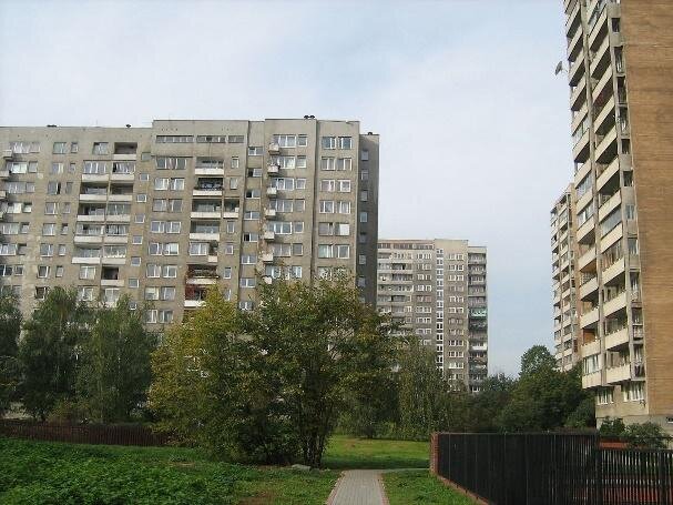 Zdjęcie przedstawia trzy szare, wysokie, stare bloki. Przed nimi rosną drzewa. 