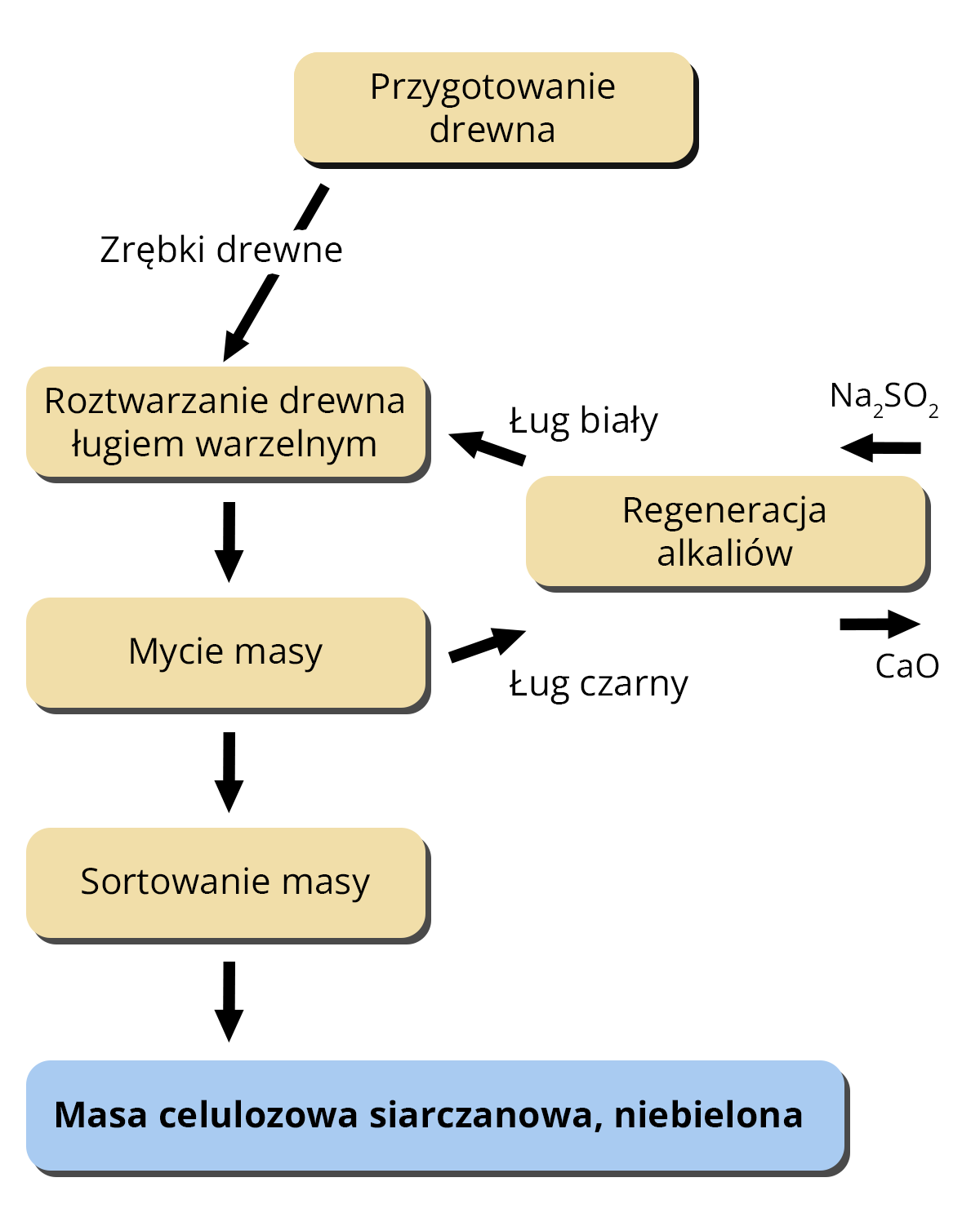 Grafika ukazuje schemat otrzymywania masy celulozowej siarczynowej niebielonej. Proces ten rozpoczyna przygotowanie drewna, następnie zrębki drzewne poddawane są roztwarzaniu kwasem warzelnym, który powstaje przy udziale siarki i kamienia wapiennego. Następnym etapem jest mycie masy. W procesie roztwarzania i mycia wydziela się dwutlenek siarki. W procesie mycia masy odzyskiwany jest ług powarzelny. Kolejnym krokiem jest rozwłóknienie masy, a następnie jej sortowanie.
