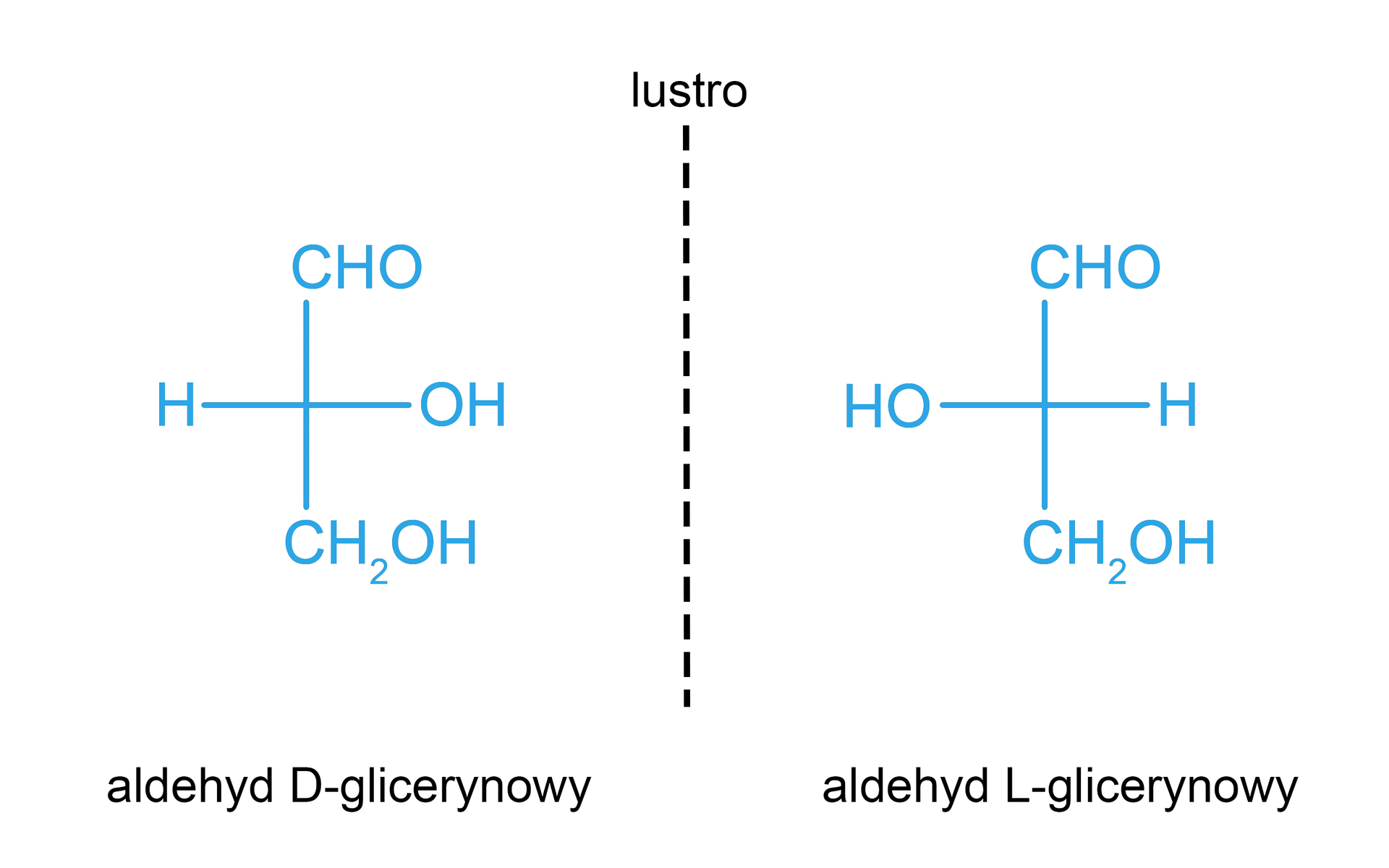 Ilustracja przedstawia dwa aldehydy, pomiędzy którymi widoczna jest przerywana linia. Opisano ją jako: lustro. Pierwszy to aldehyd D‑glicerynowy. Ma strukturę pionową. Od dołu kolejno grupa C H indeks dolny dwa koniec indeksu dolnego połączona wiązaniem pojedynczym z grupą O H. W górę, kolejna grupa to C połączona wiązaniem pojedynczym z grupą O H oraz H. Grupa O H znajduje się po prawej stronie struktury wzoru, a H po lewej. Dalej kolejna grupa C H O. Drugi aldehyd to L‑glicerynowy. Ma strukturę pionową. Od dołu kolejno grupa C H indeks dolny dwa koniec indeksu dolnego połączona wiązaniem pojedynczym z grupą O H. W górę, kolejna grupa to C połączona wiązaniem pojedynczym z grupą O H oraz H. Grupa O H znajduje się tutaj po lewej stronie struktury wzoru, a H po prawej. Dalej kolejna grupa C H O. Ten aldehyd stanowi lustrzane odbicie aldehydu D‑glicerynowego.