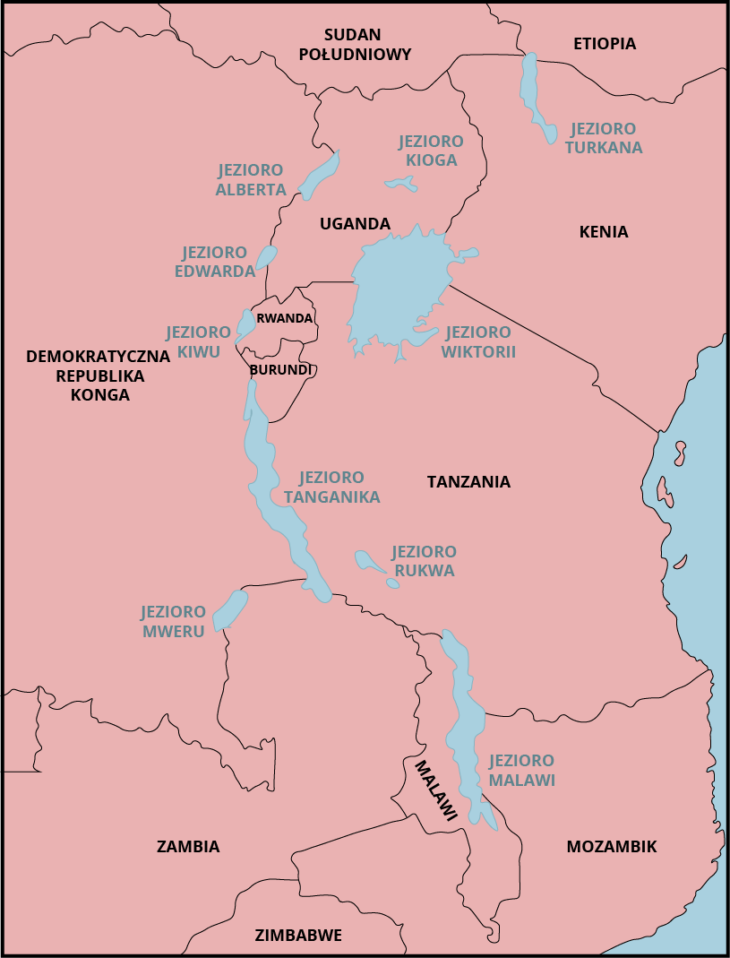 Ilustracja przedstawia fragment mapy Afryki. Zaznaczono jeziora. Położone są mniej więcej w linii prostej z południa na północ. Na północy jest Jezioro Turkana - na granicy Etiopii i Sudanu Południowego, jezioro niemal całkowicie leży na terenie Kenii. Jest podłużne w pionie. Są na granicy Ugandy i Demokratycznej Republiki Konga (Jezioro Alberta, Jezioro Edwarda). Na południu Ugandy na granicy z Tanzanią jest duże Jezioro Wiktorii. Na granicy Rwandy z Demokratyczną Republiką Konga jest Jezioro Kiwu, na granicy Burundi i Tanzanii z Demokratyczną Republiką Konga jest duże, podłużne jezioro Tanganika. Na granicy Zambii i Demokratycznej Republiki Konga jest Jezioro Mweru. Na granicy Mozambiku, Malawi, Tanzanii jest podłużne Jezioro Malawi. Na obszarze centralnej Ugandy zaznaczono Jezioro Kioga, jest niewielkie. Na południu Tanzanii zaznaczono Jezioro Rukwa, niewielkie.       