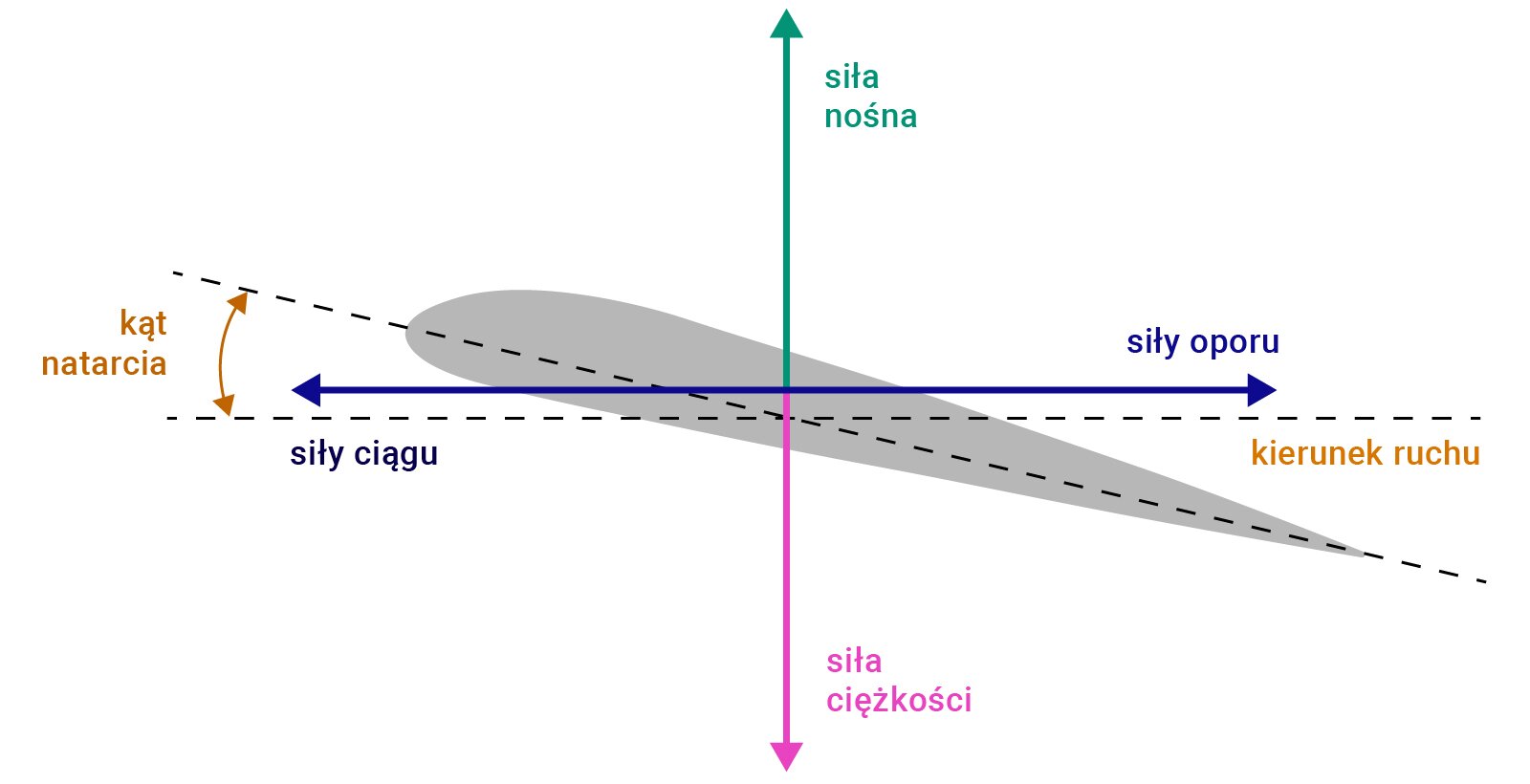 Rysunek przedstawia rozkład sił działających na skrzydło samolotu. Na rysunku widoczny jest przekrój poprzeczny skrzydła samolotu, który ma kształt wydłużonego migdału. Zaokrąglona część przekroju jest skierowana w lewo, jest to przednia część. Ostra część przekroju znajduje się w prawej części rysunku, jest to tylna część skrzydła. Poprowadzono cięciwę, czyli odcinek łączący środek krzywizny przedniej części przekroju z ostrym końcem po drugiej stronie przekroju. Przez środek cięciwy poprowadzono poziomą linię. Kąt ostry między cięciwą a poziomem opisano jako kąt natarcia. Siły działające na skrzydło to: siła nośna. Jej wektor jest pionowy i ma zwrot w górę. Siła ciężkości. Jej wektor jest pionowy i ma zwrot w dół. Siła ciągu. Jej wektor jest poziomy i ma zwrot w lewo, czyli zgodny z kierunkiem ruchu. Siła oporu. Jej wektor jest poziomy i ma zwrot w prawo, czyli przeciwny do kierunku ruchu.
