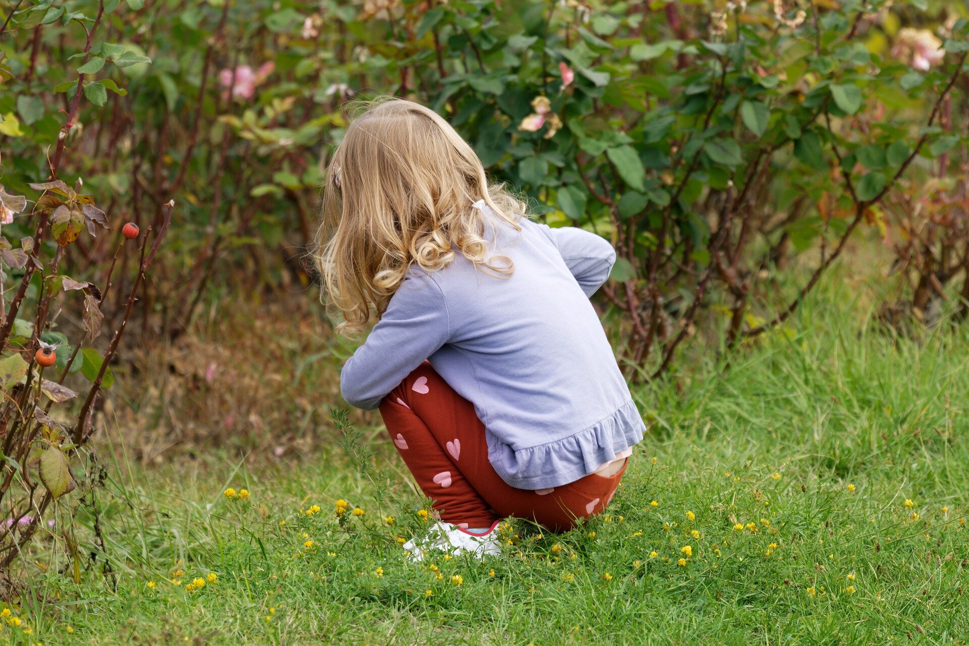 Ilustracja przedstawia dziewczynkę chowającą się w krzakach.