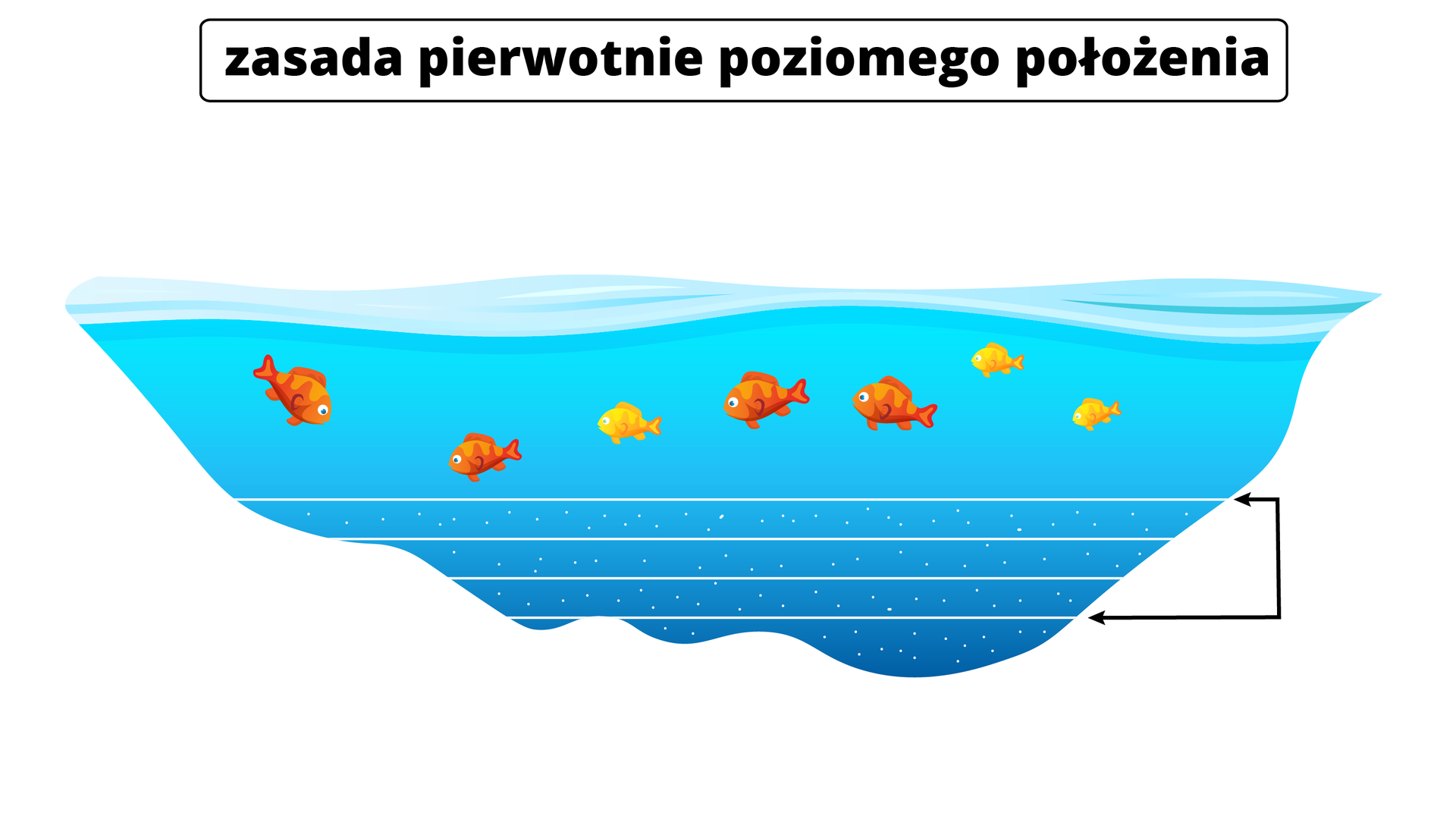 Ilustracja przedstawia zasadę pierwotnego poziomego położenia. Na ilustracji jest zbiornik wodny, w górnej części pływają ryby. Pod nimi przez zbiornik poprowadzono cztery poziome linie.