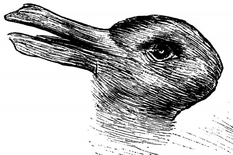 „ Kaninchen und Ente ” („Królik i kaczka”) z numeru <em>Fliegende Blätter</em> z 23 października 1892 r. Ilustracja przedstawia złudzenie optyczne. Znajduje się na niej kaczka z dziobem lub królik z długimi uszami.