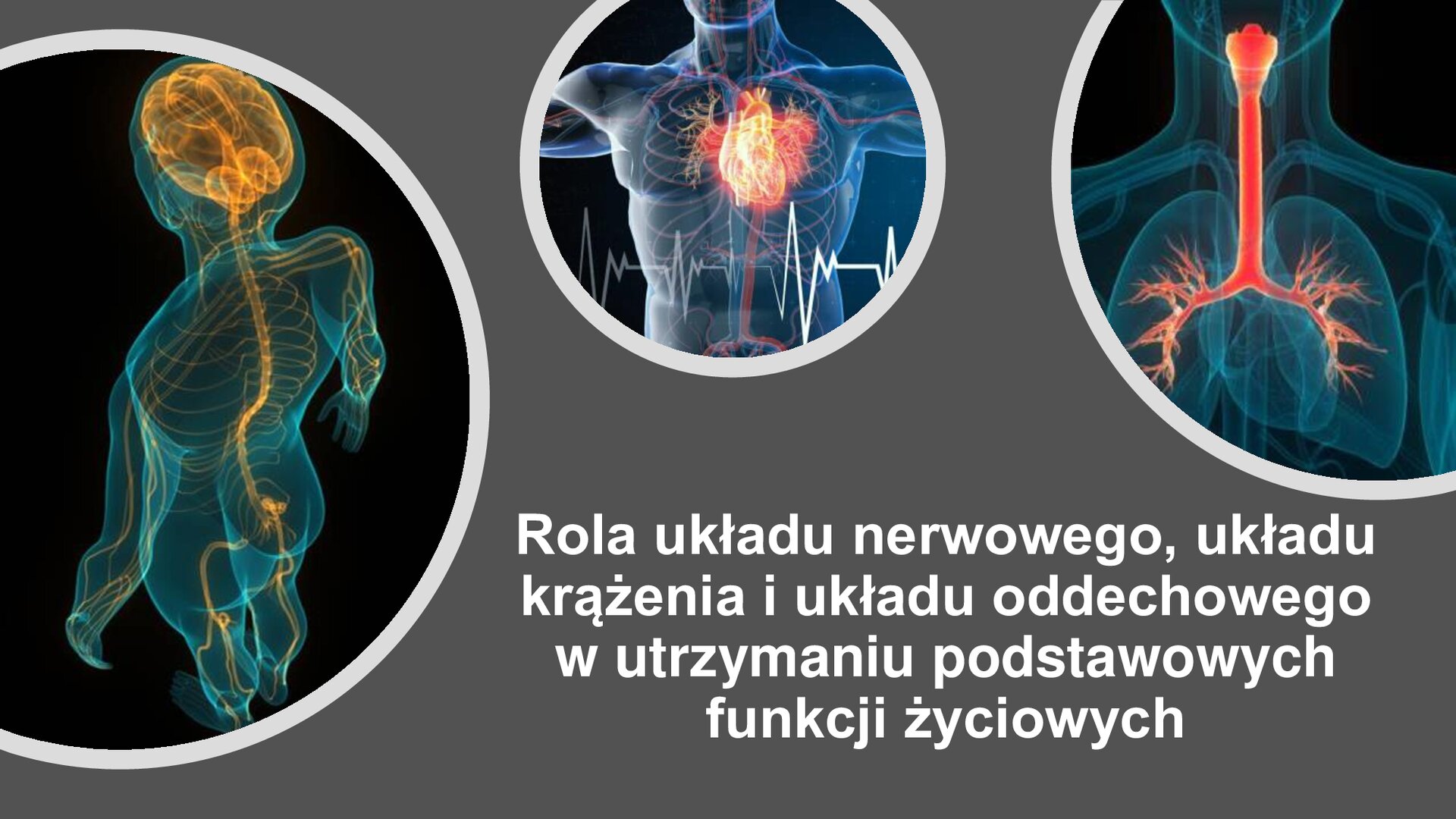 Szara plansza. W prawym dolnym rogu napis: „Rola układu nerwowego, układu krążenia i układu oddechowego w utrzymaniu podstawowych funkcji życiowych”. Z lewej strony i u góry planszy trzy czarne koła, na których przedstawiona została sylwetka człowieka. Na każdej z nich zaznaczony został inny układ: z lewej strony układ nerwowy, u góry układ krążenia oraz układ oddechowy.